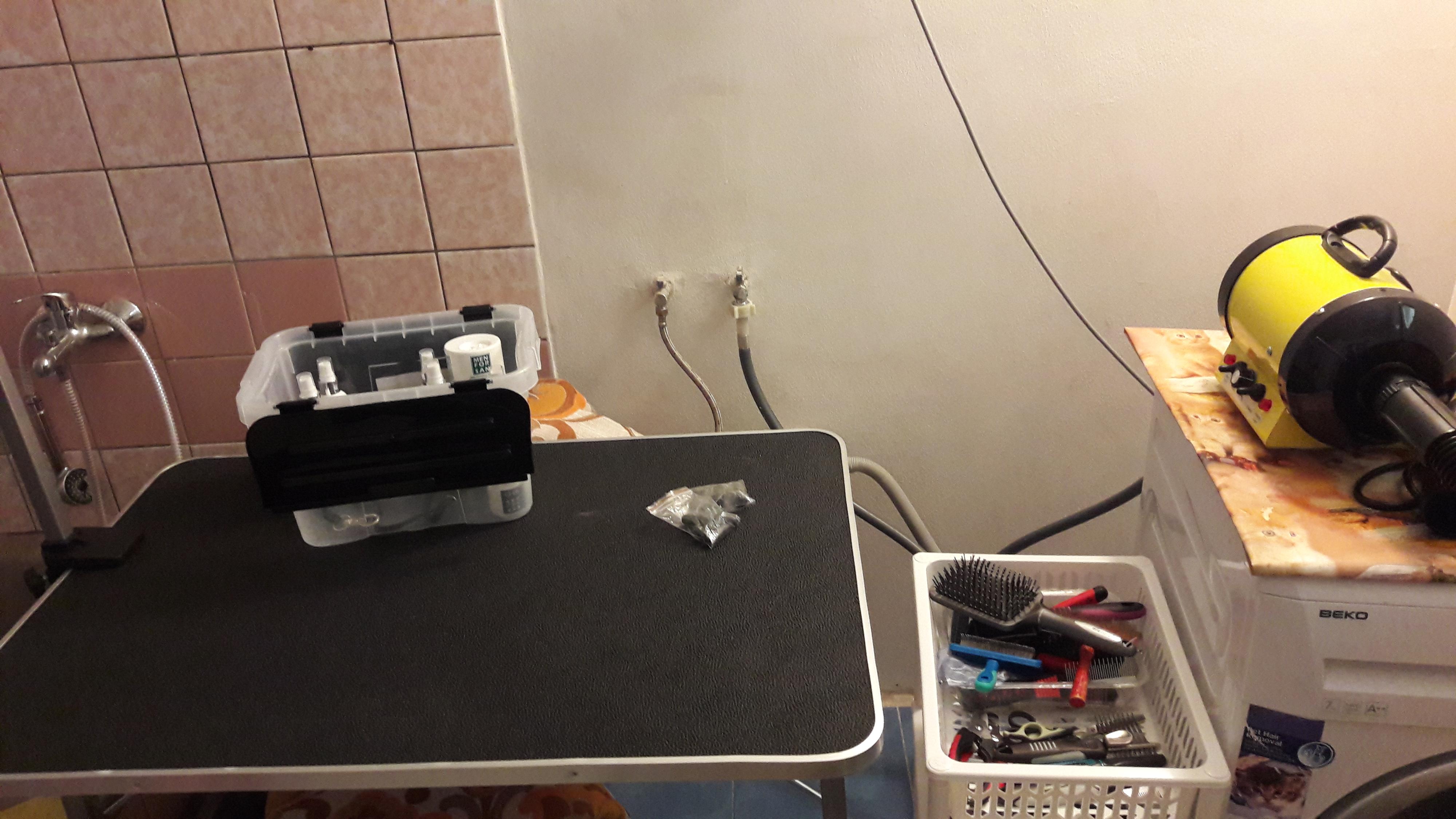 Psí škola u Míši foto 2