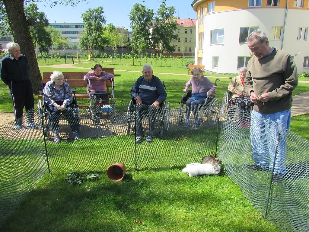 Senior-komplex domov pro seniory foto 5