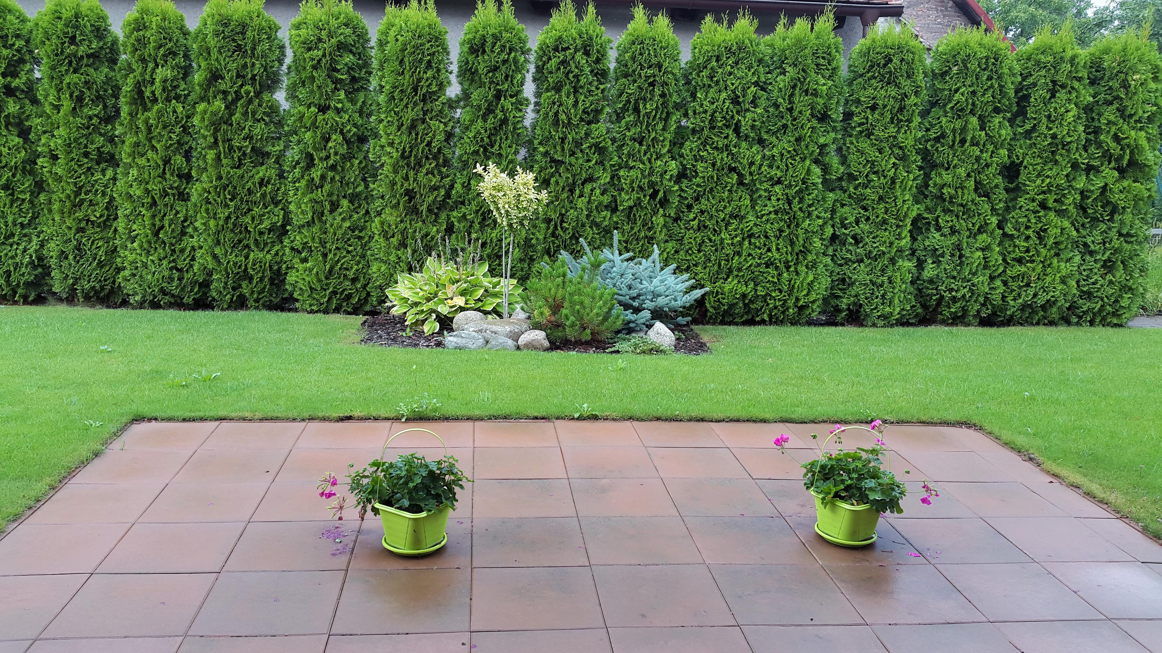 CONTO SERVIS - účetnictví, mzdy, daně, poradenství foto 3