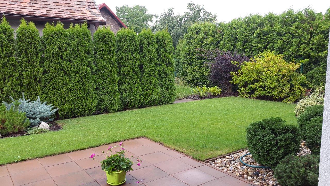 CONTO SERVIS - účetnictví, mzdy, daně, poradenství foto 2