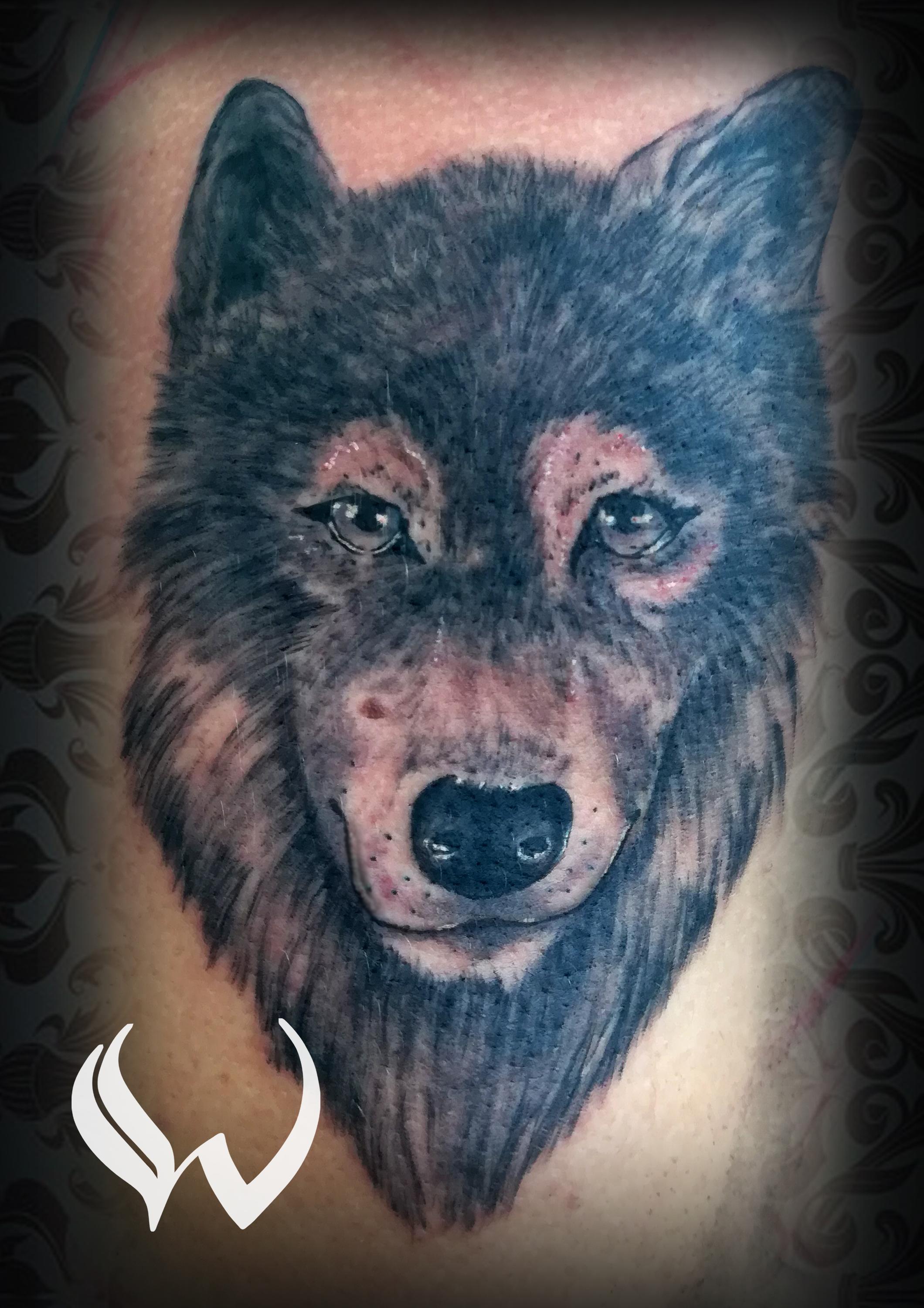 Wenca Dolejš Tattoo Studio foto 5