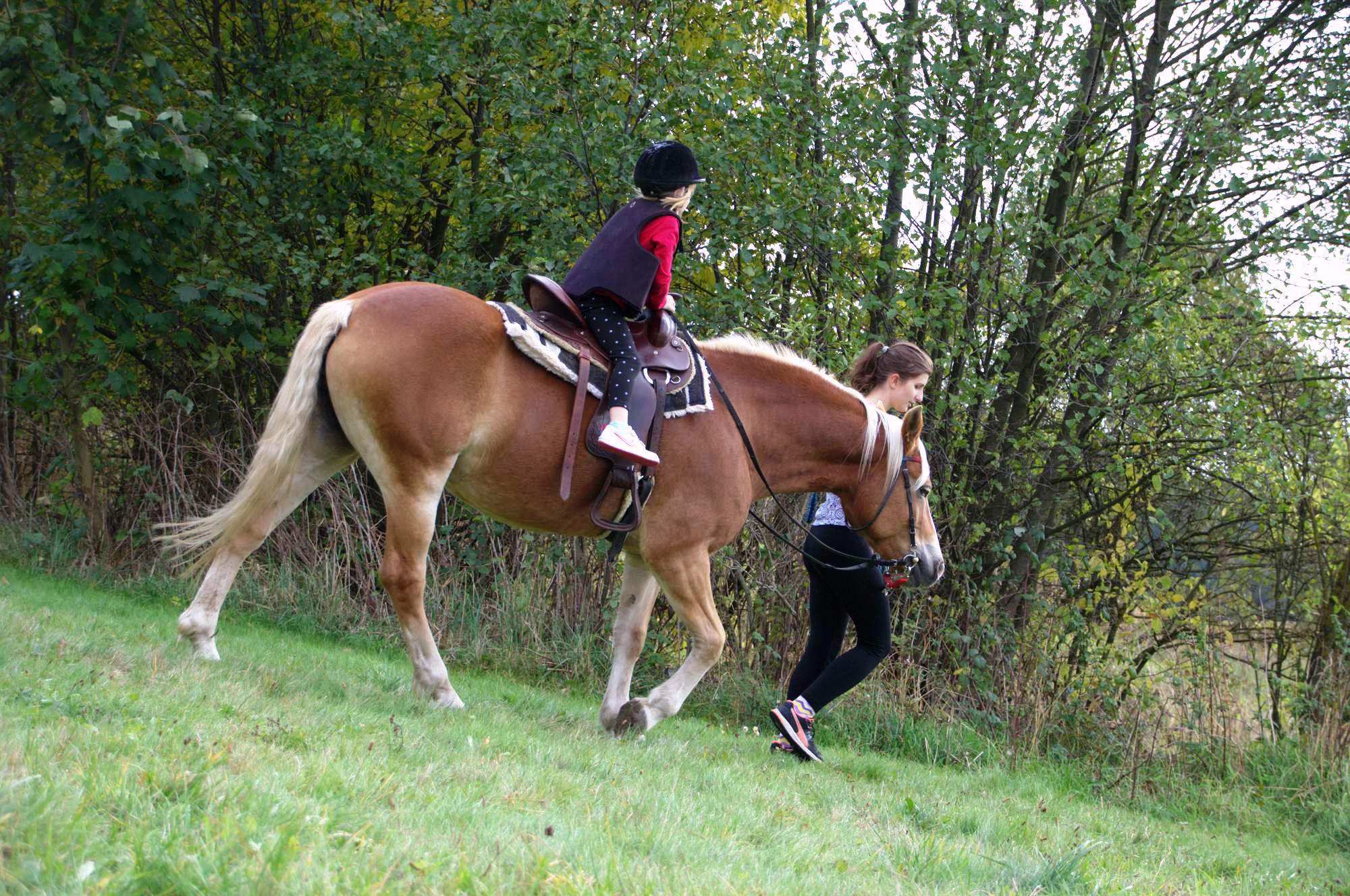 Stáj Claudie foto 4