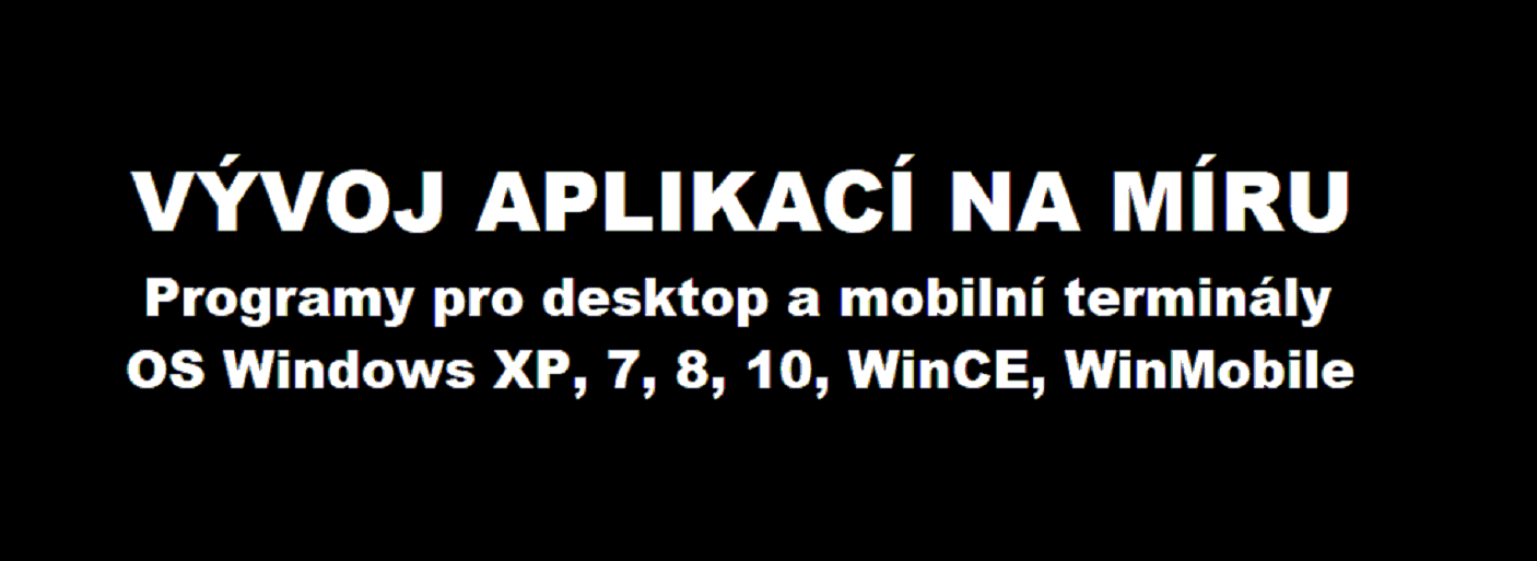 Martin Henzl - Vývoj SW foto 2