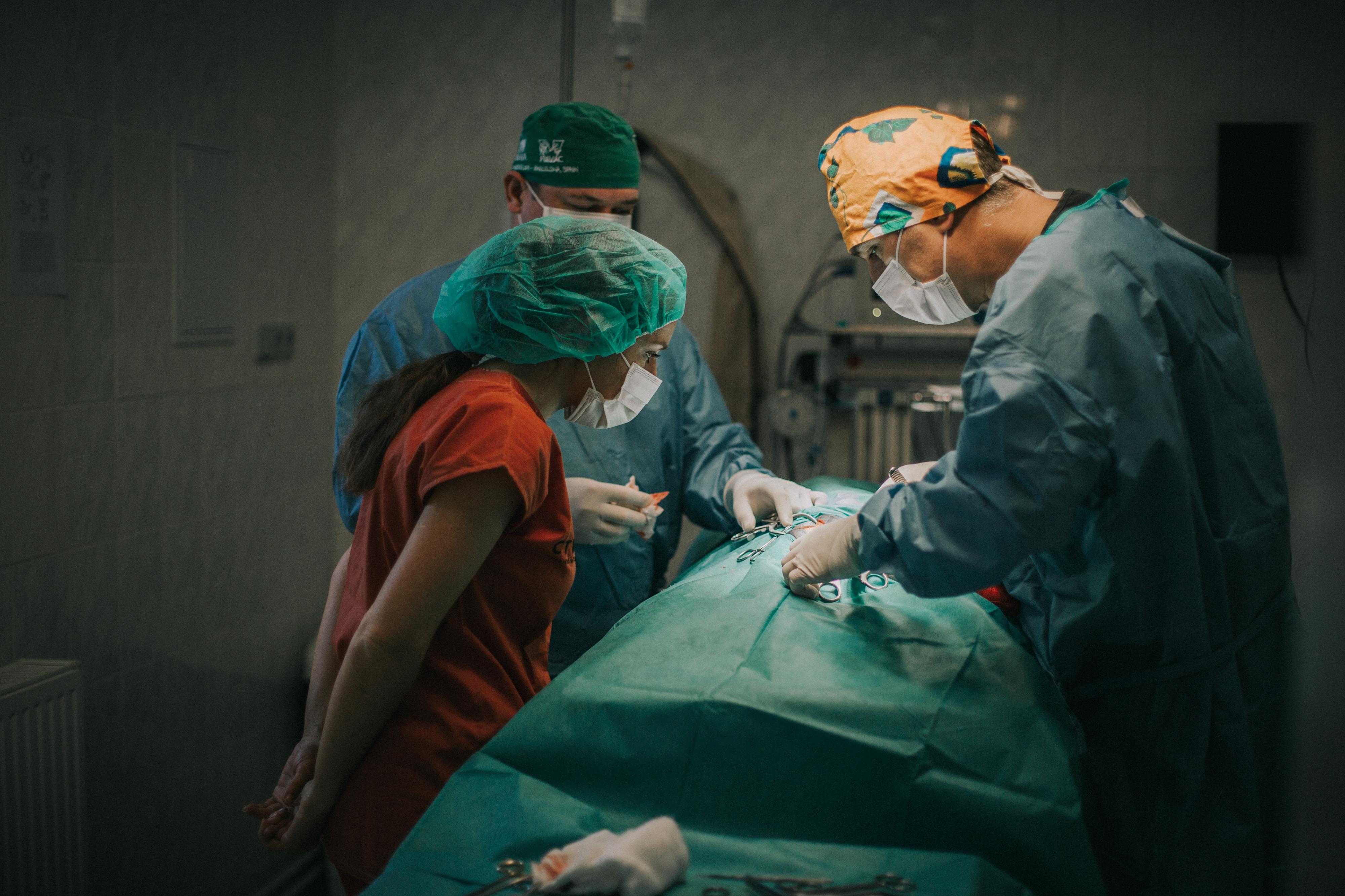 CTVET Veterinární klinika foto 4