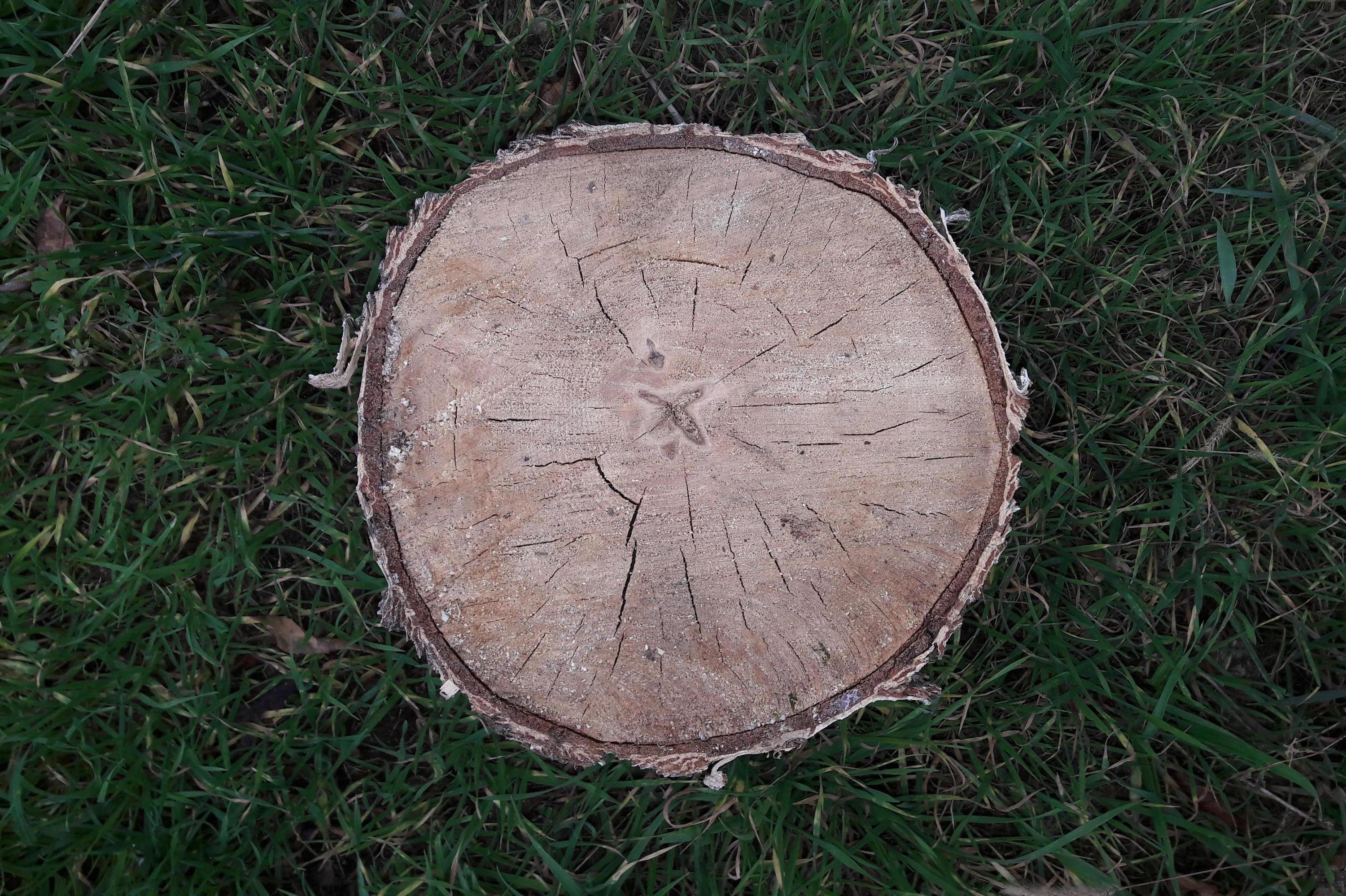 Lesy Horňácko, s.r.o.