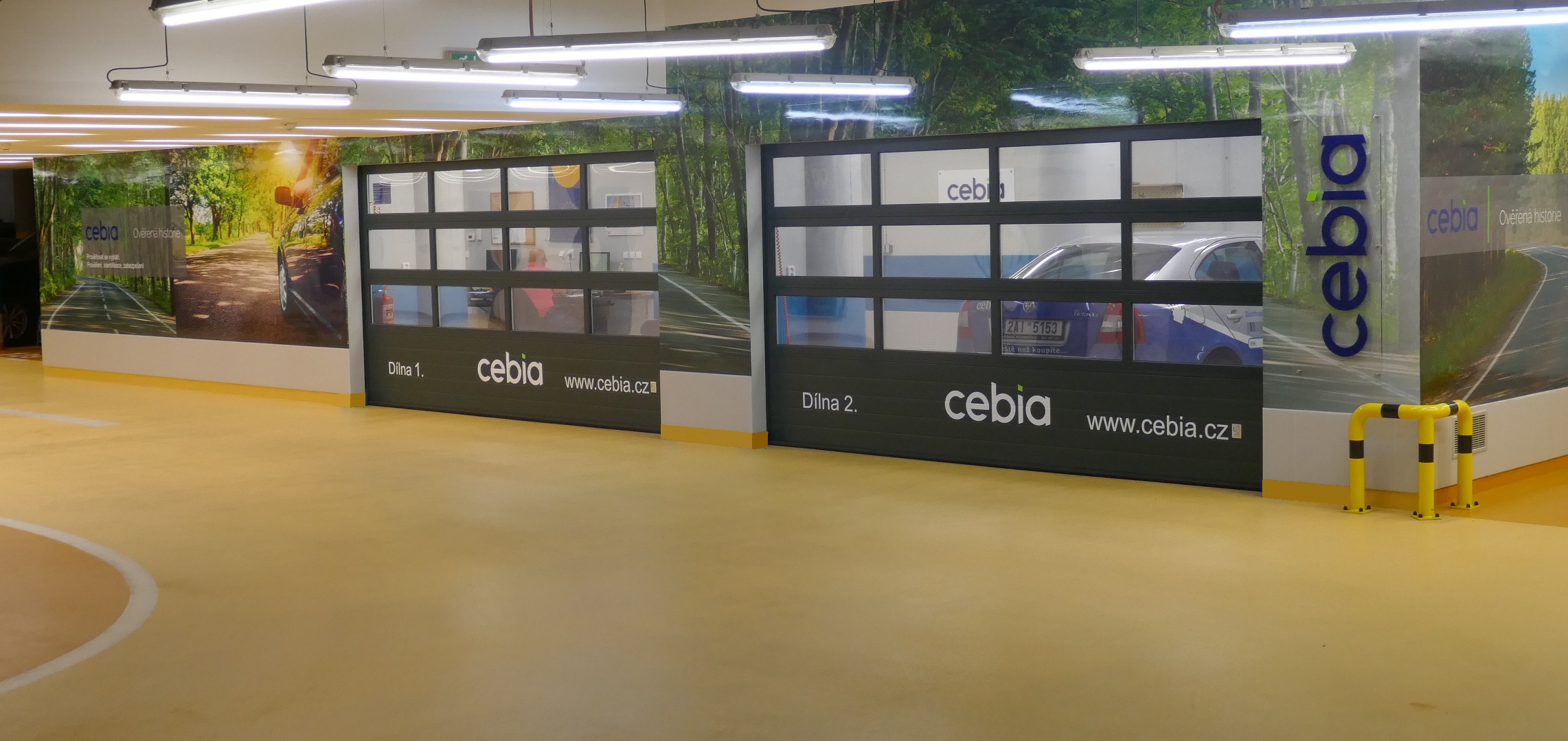 Cebia foto 2