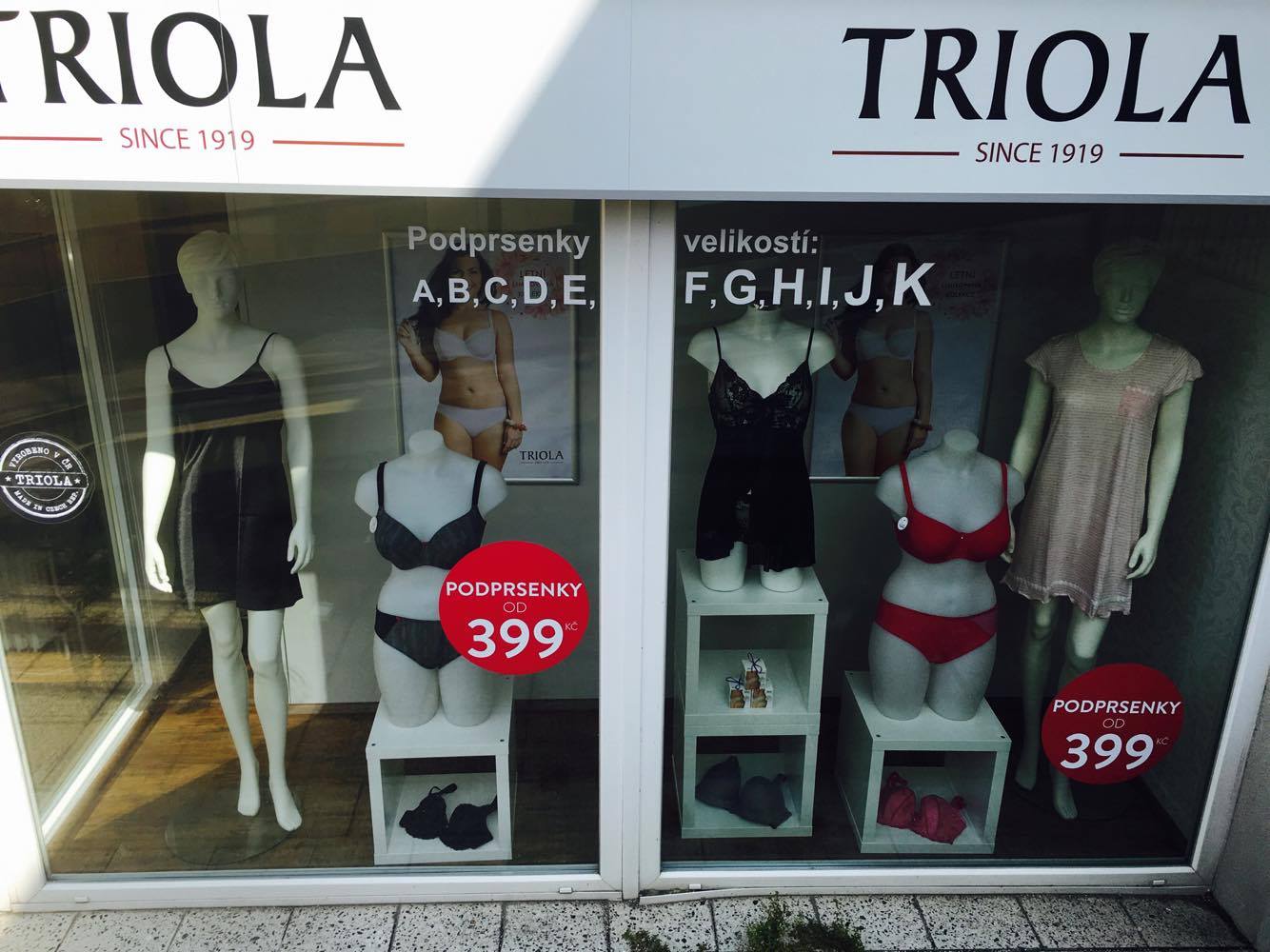 Triola foto 6