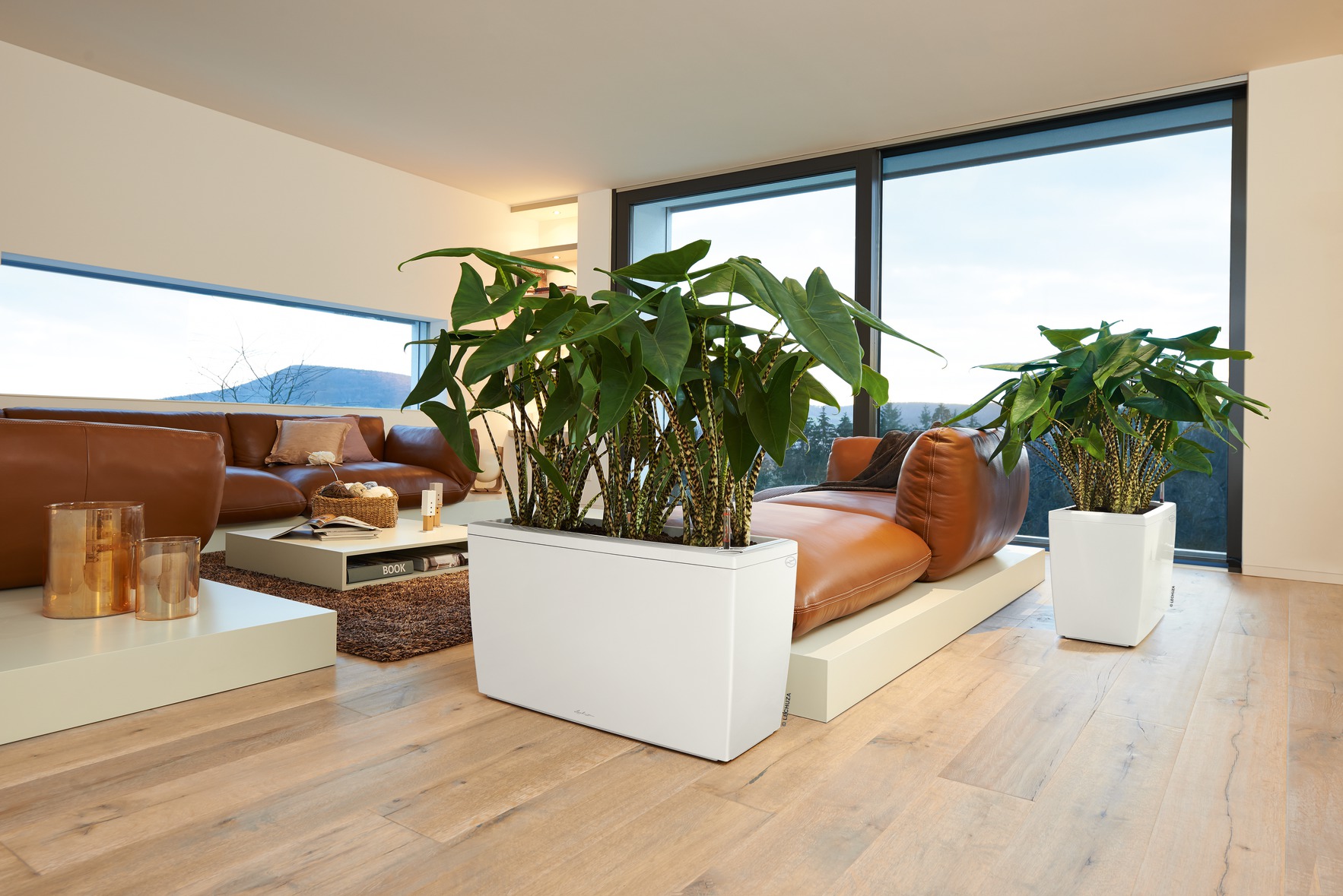 LECHUZA - samozavlažovací květináče foto 4