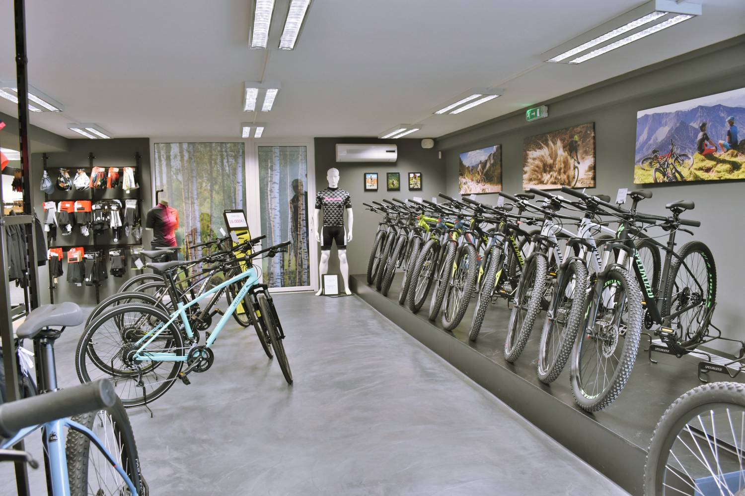 Specialized Brno foto 2
