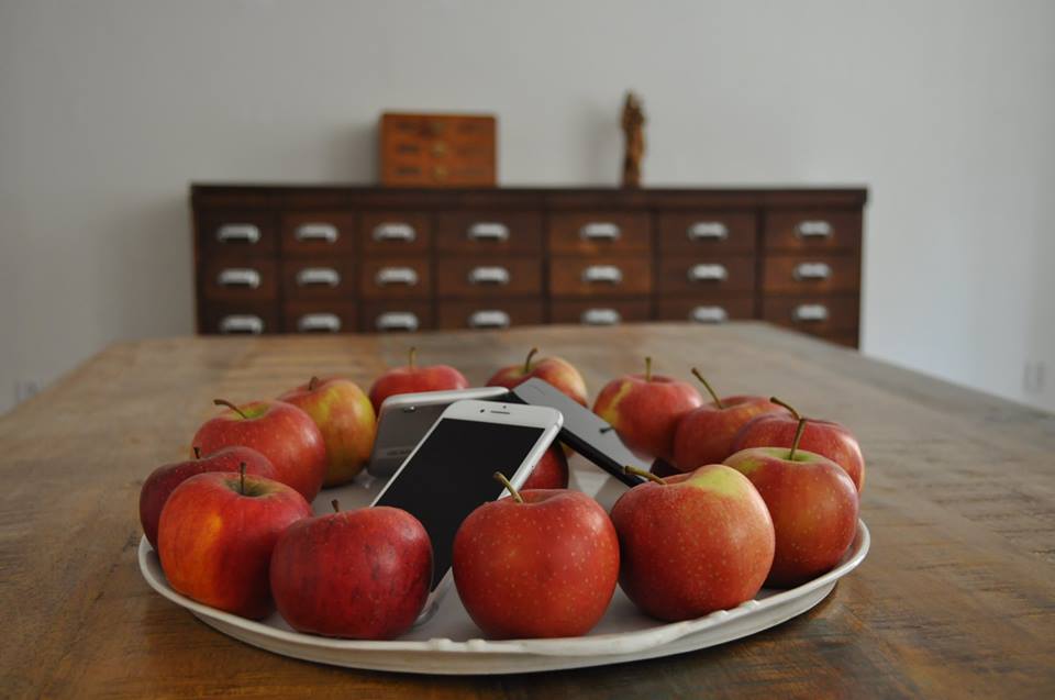 JABLOŇ ZLATÁ, s.r.o. foto 2