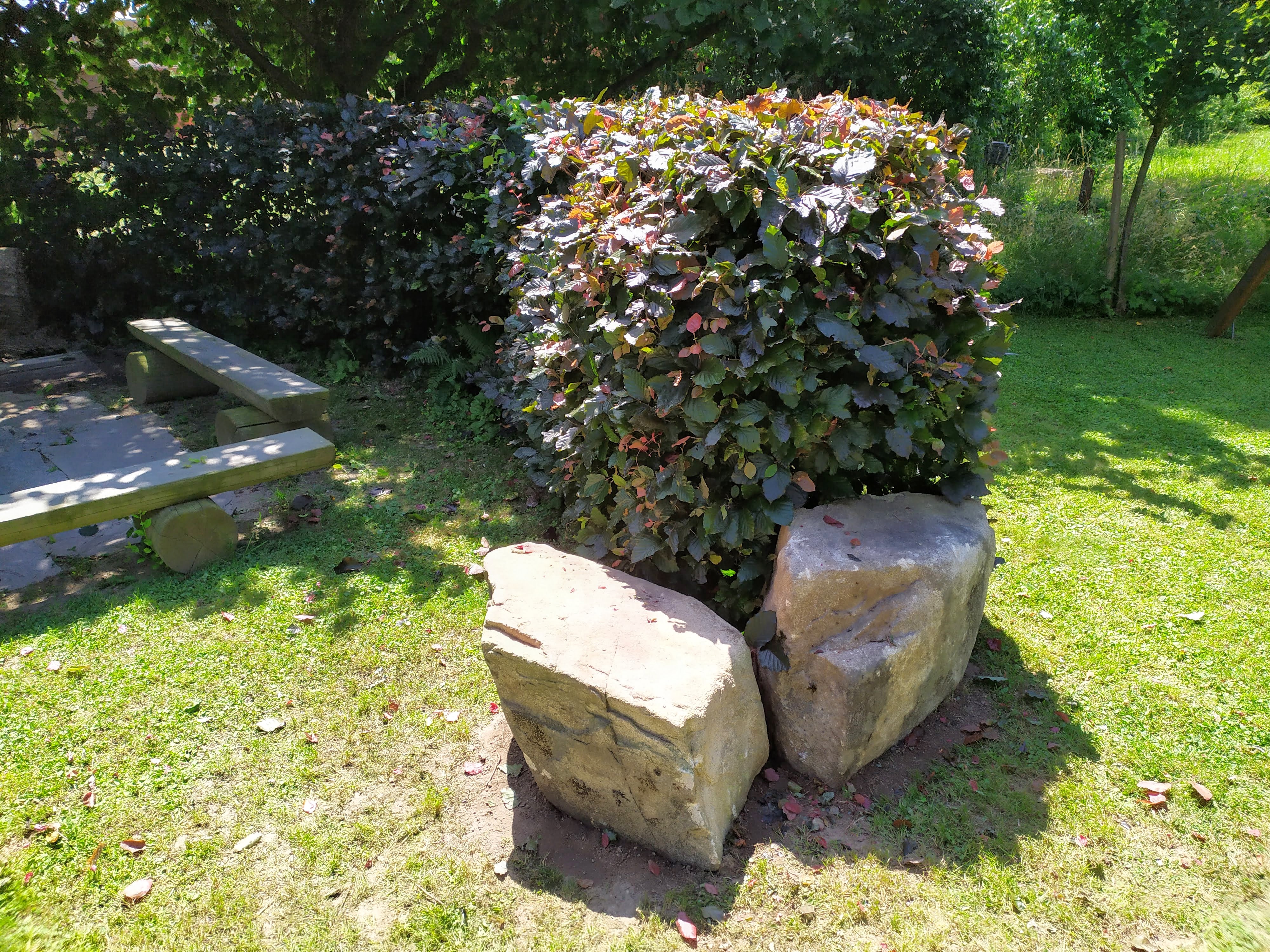 Roman Nakielný foto 4