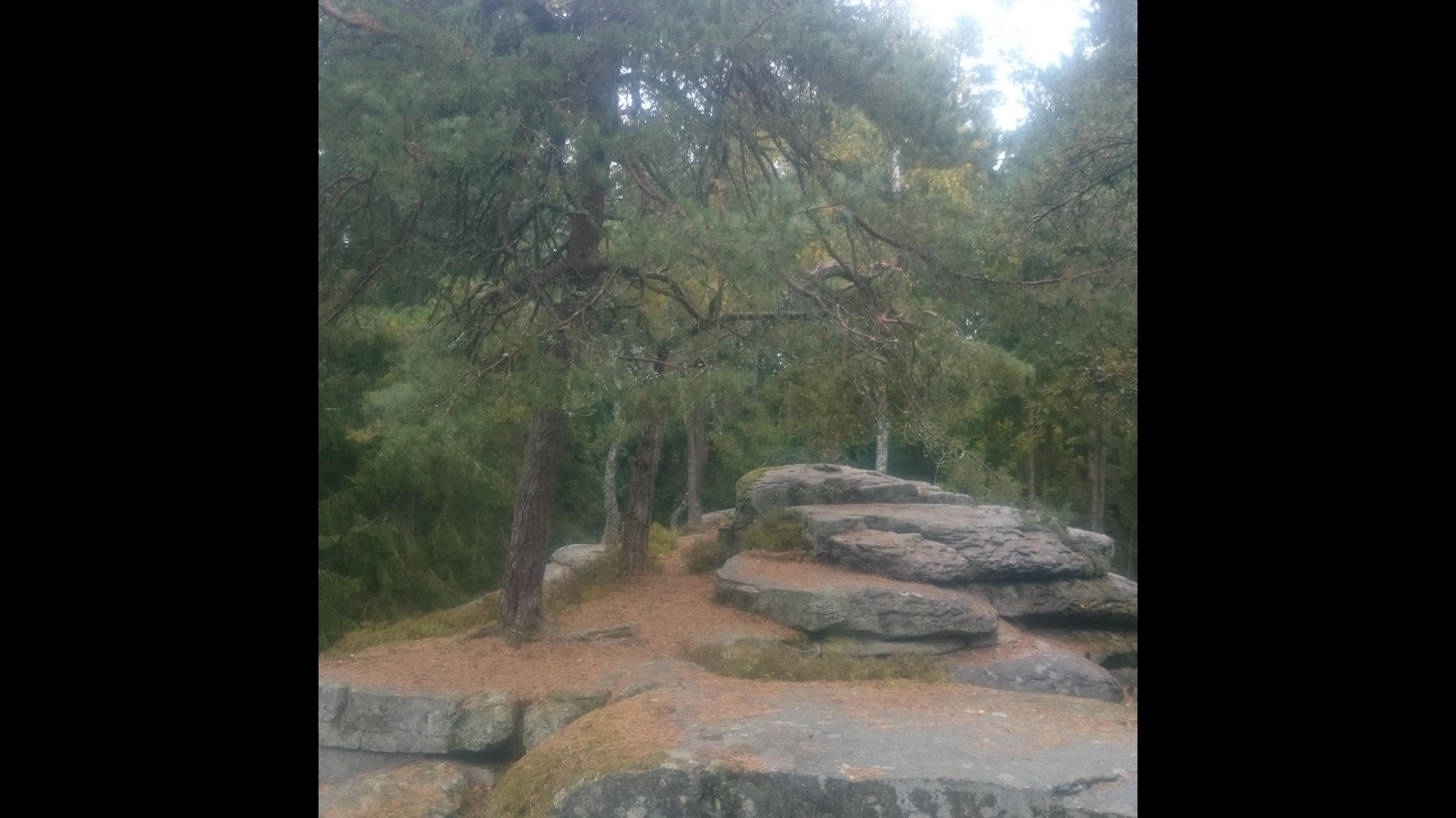 Hradiste Cottage foto 2