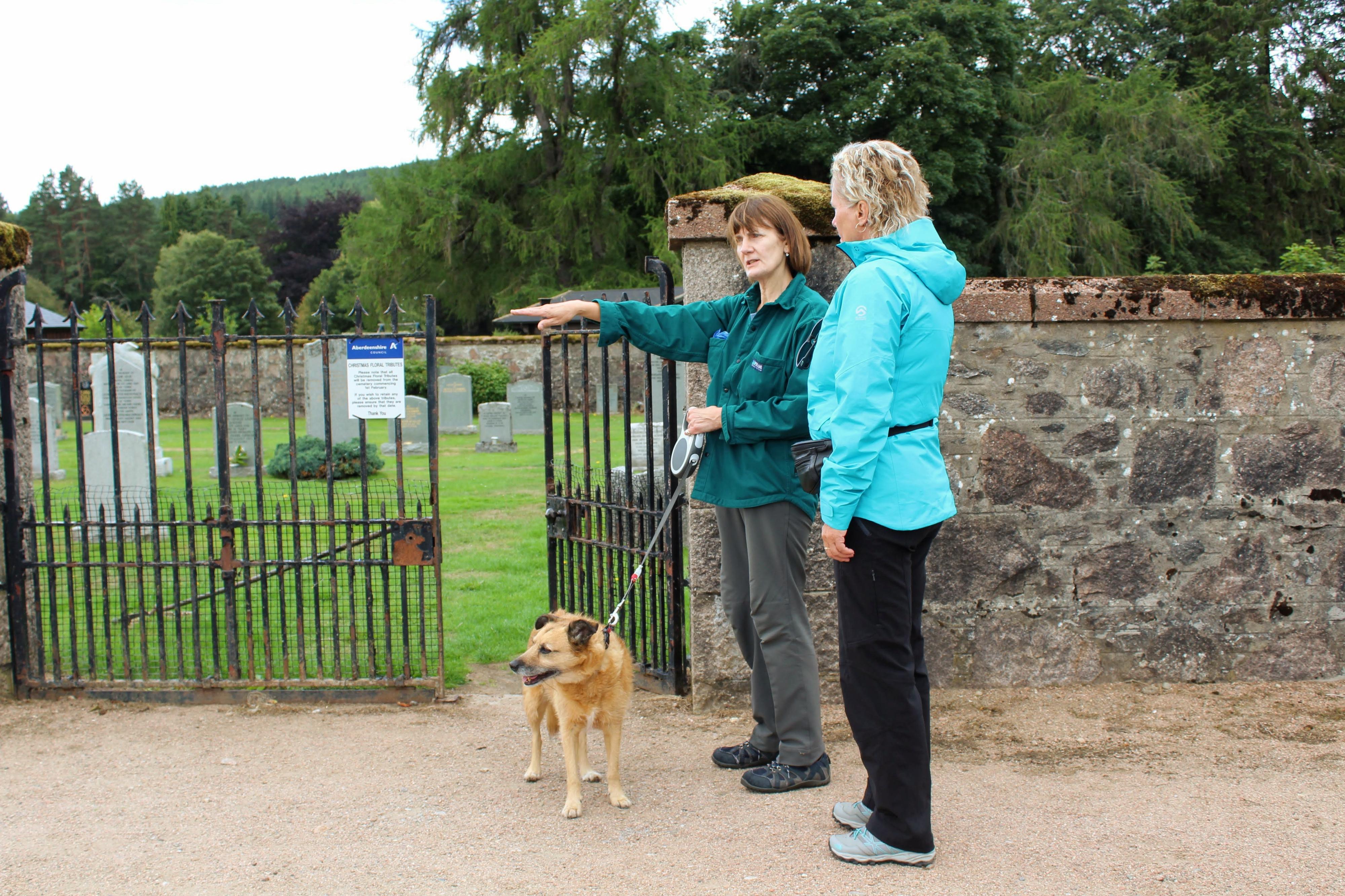 VÝUKA ON-LINE foto 3