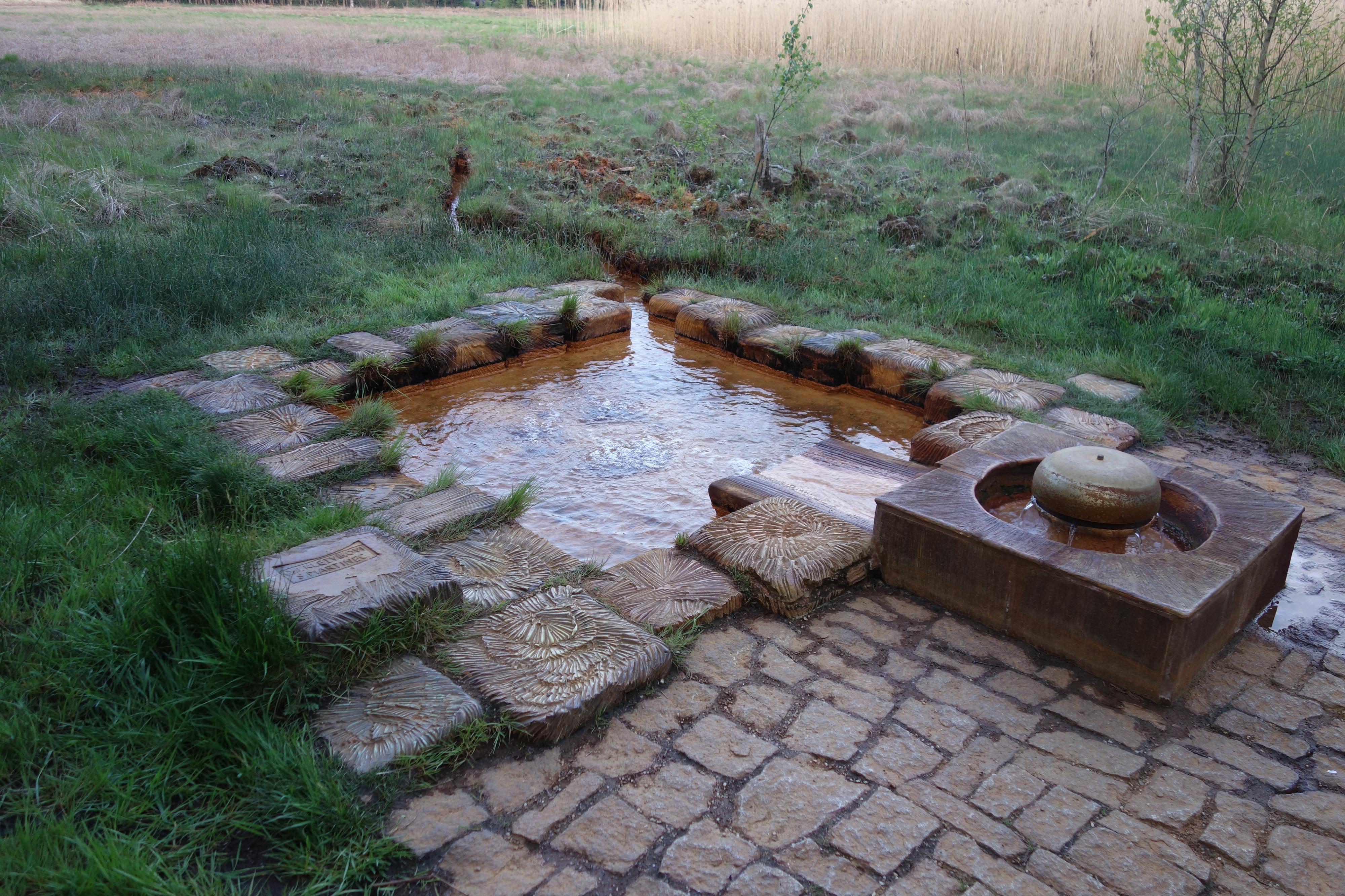 Národní přírodní rezervace Soos foto 6