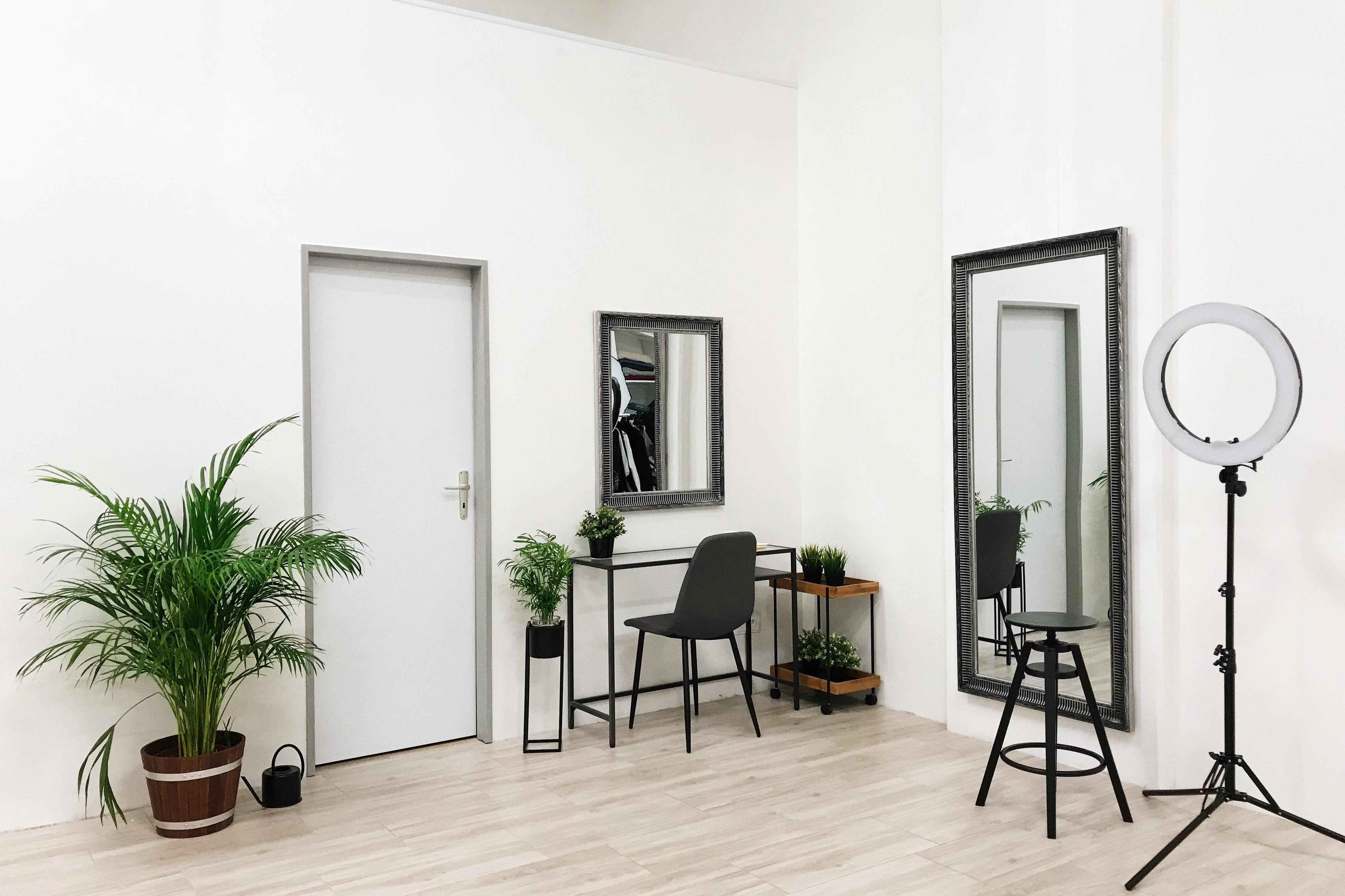 Swan Studio foto 1