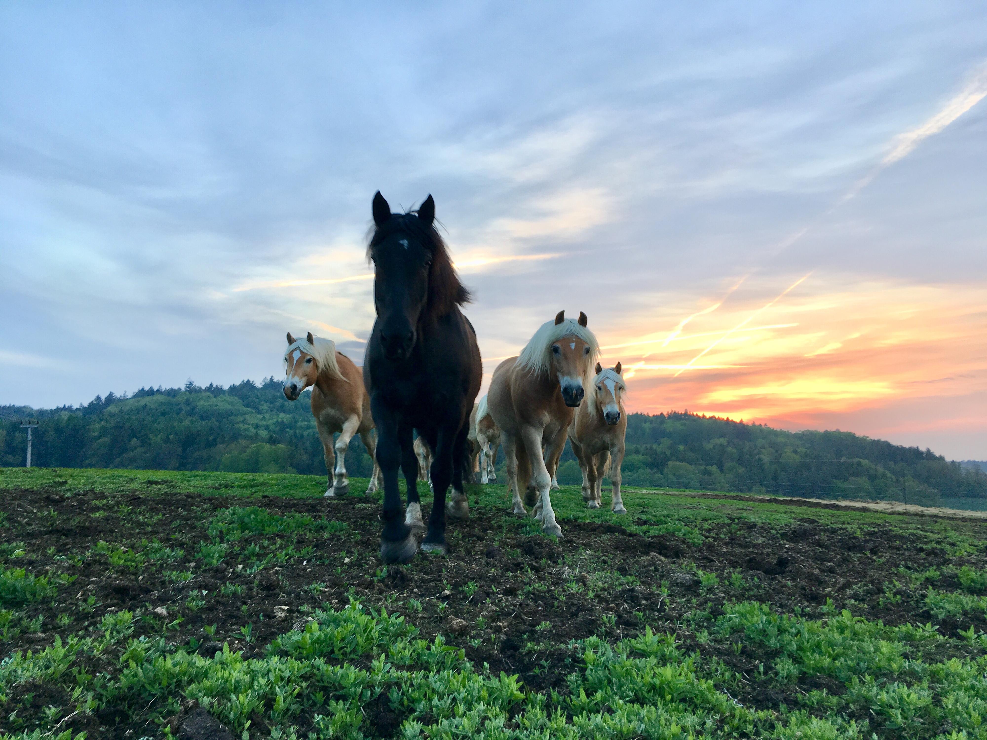 Ranč Ixion foto 2