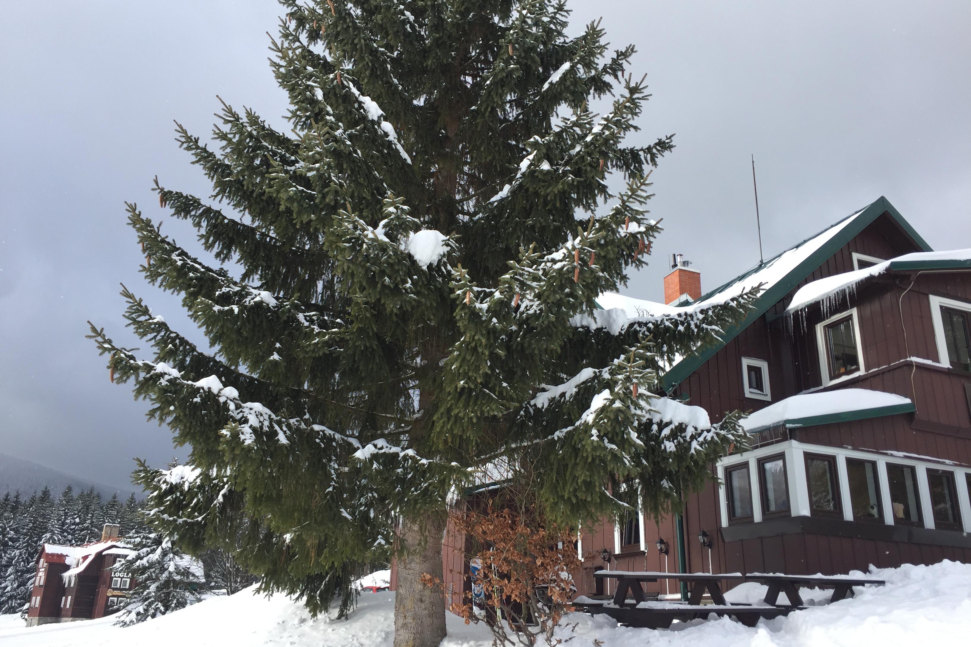 Apartmány Na Salaši