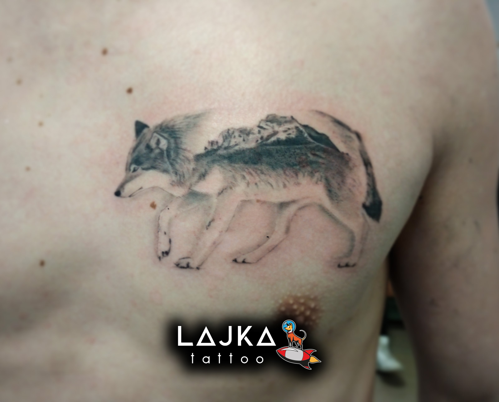 LAJKA tattoo foto 5