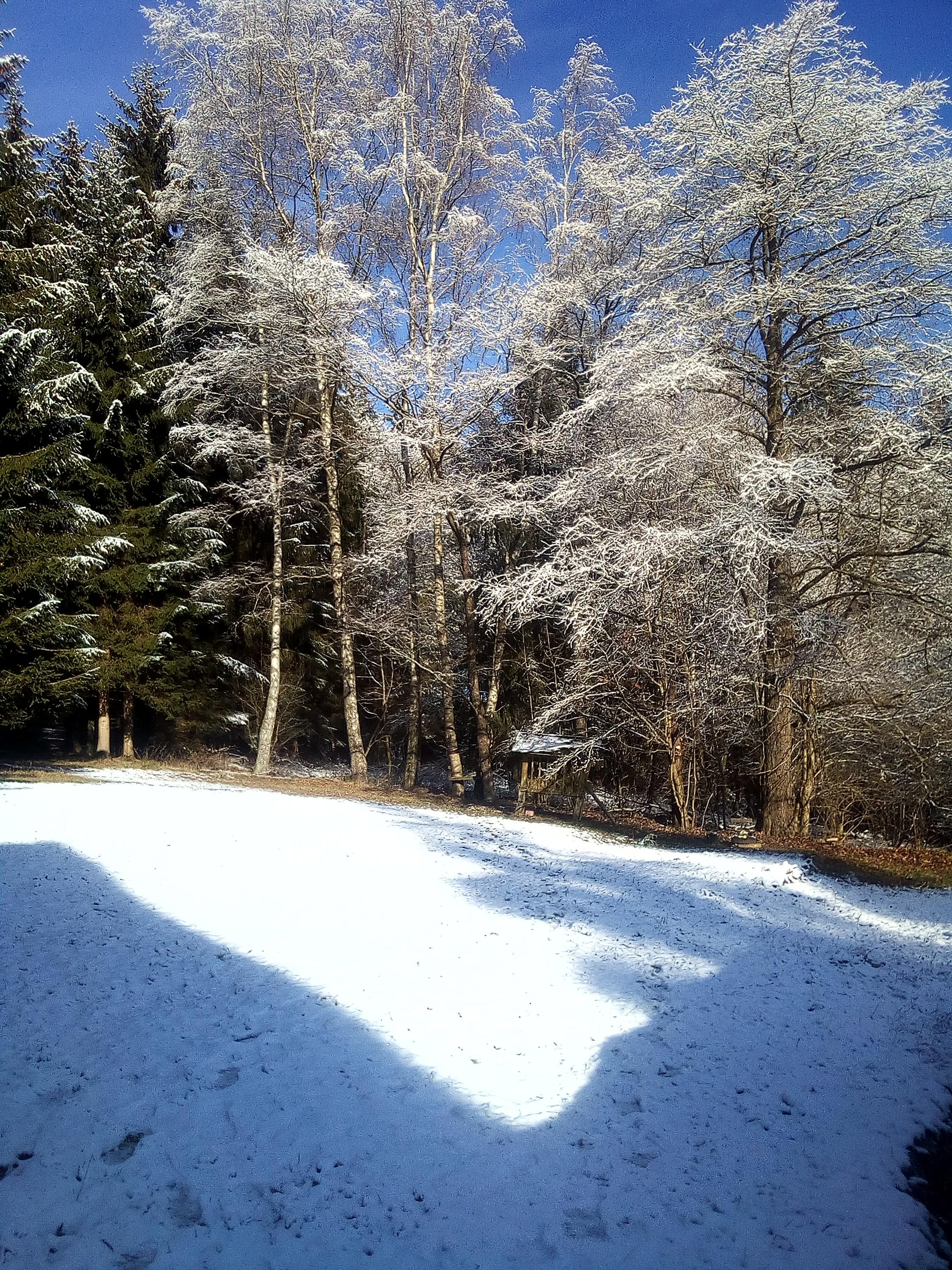 Chata Světluška a kemp foto 2