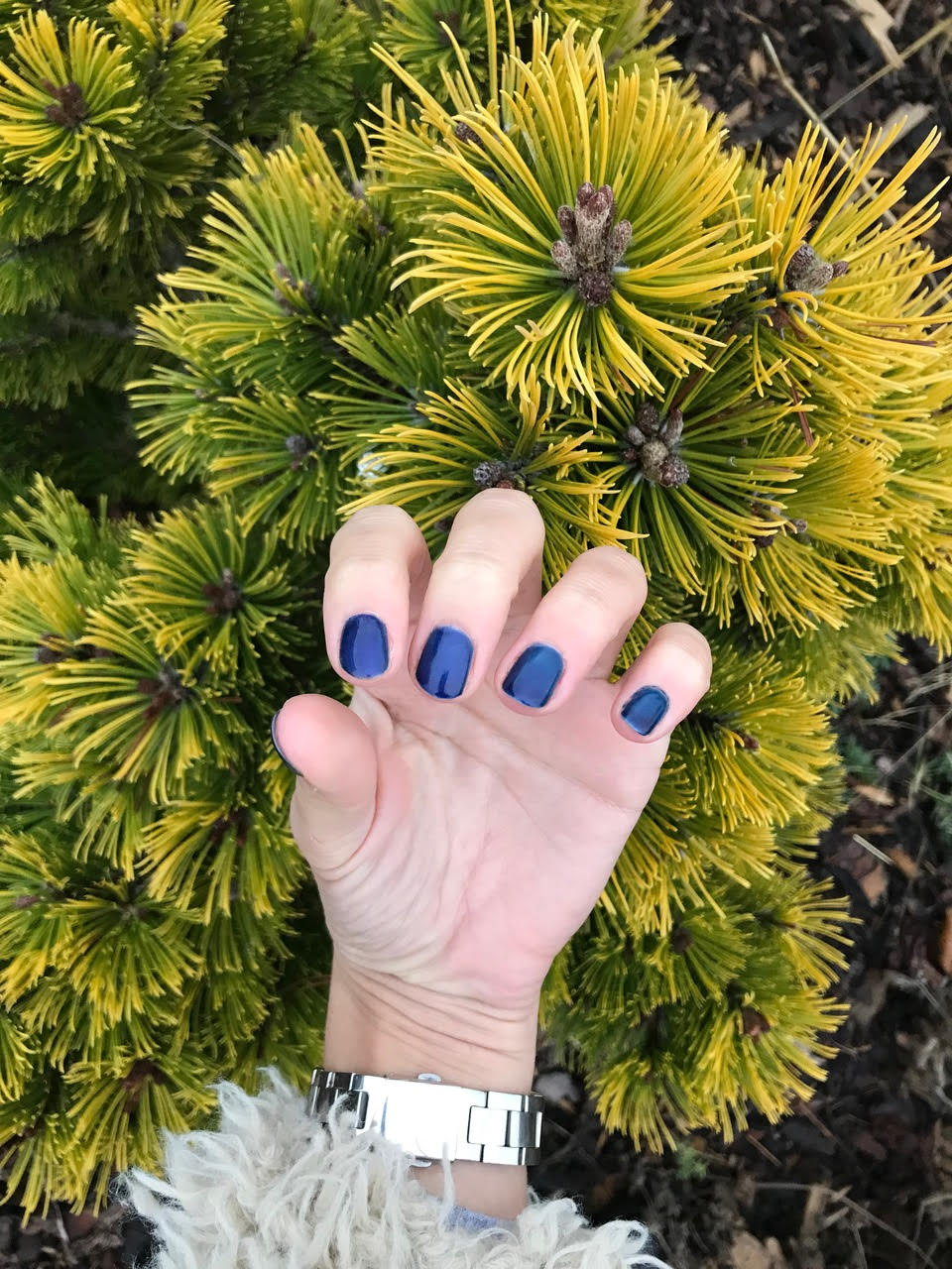 Alice Nails - liberecké nehtové studio foto 6