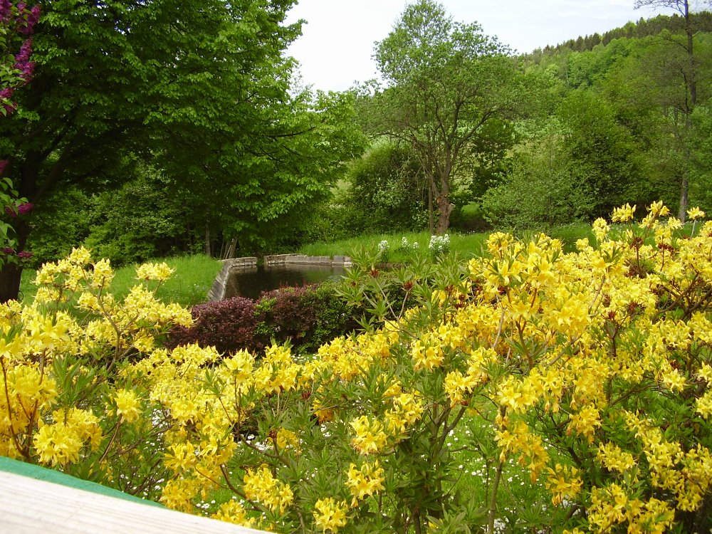 Ranch Eden foto 4