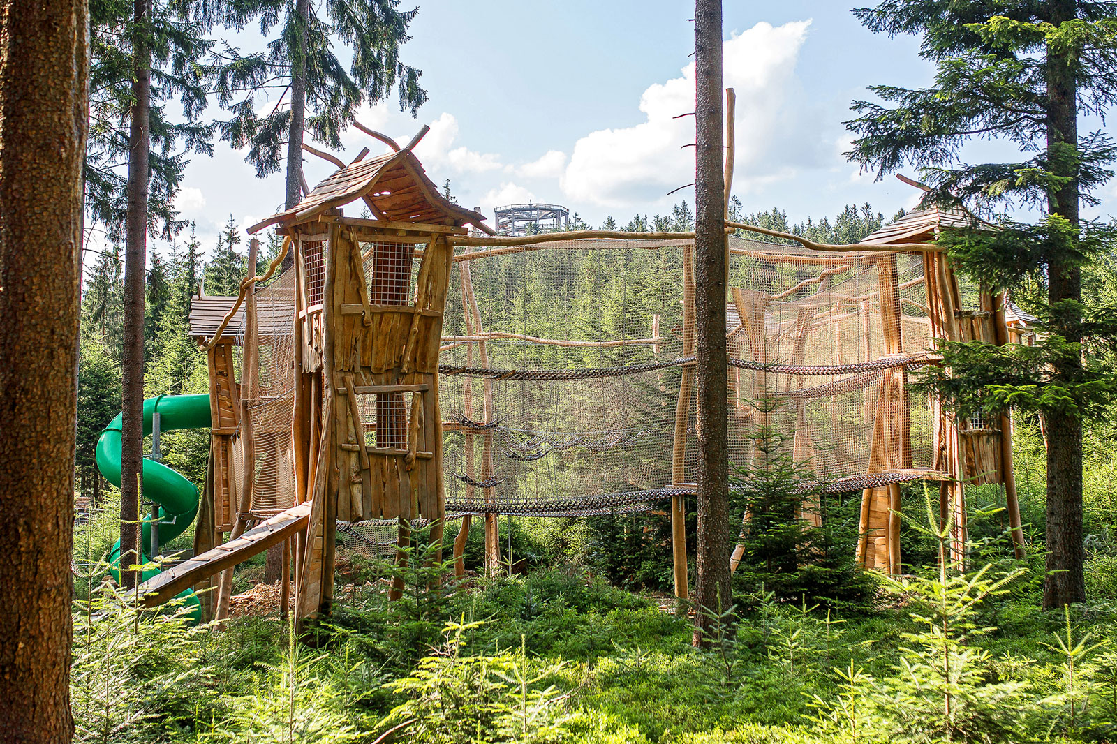 Království lesa Lipno foto 2