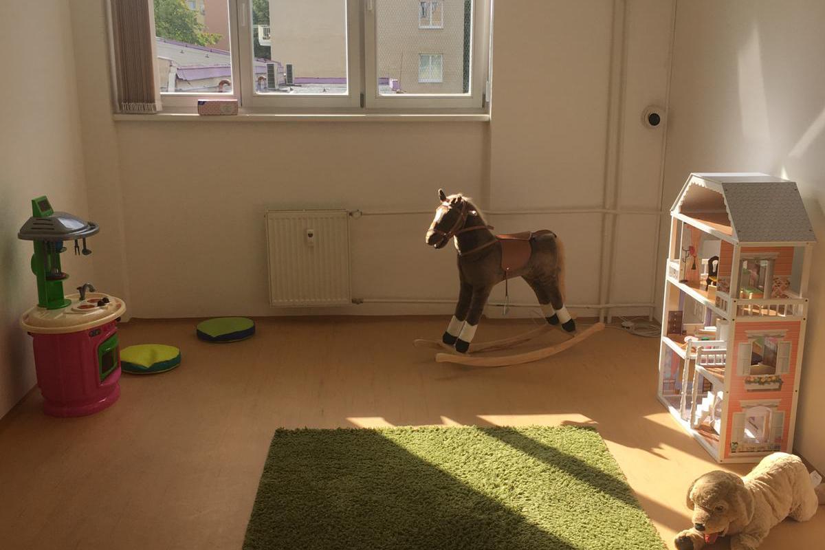 DĚTSKÉ KRIZOVÉ CENTRUM