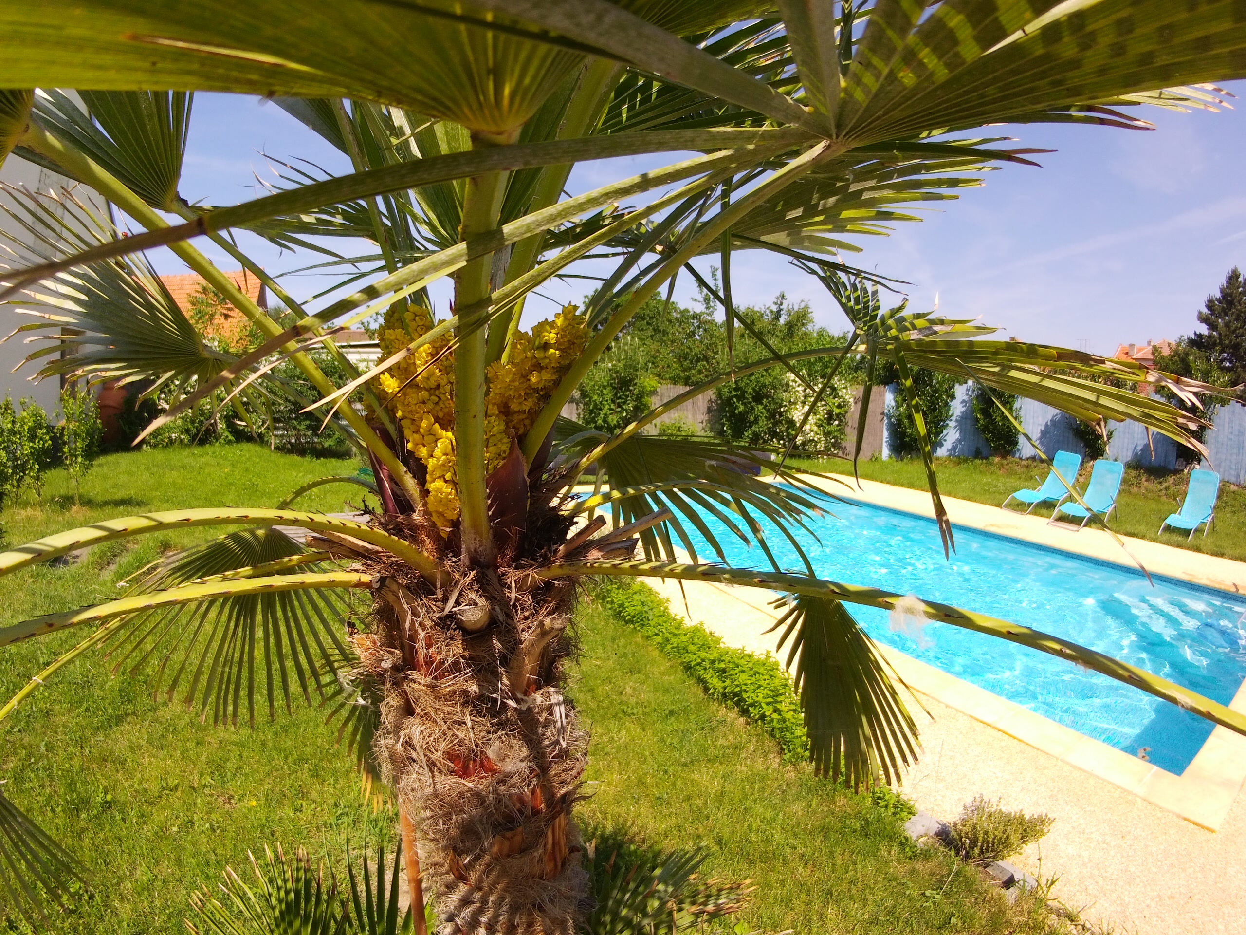 Apartmány Amaris foto 5