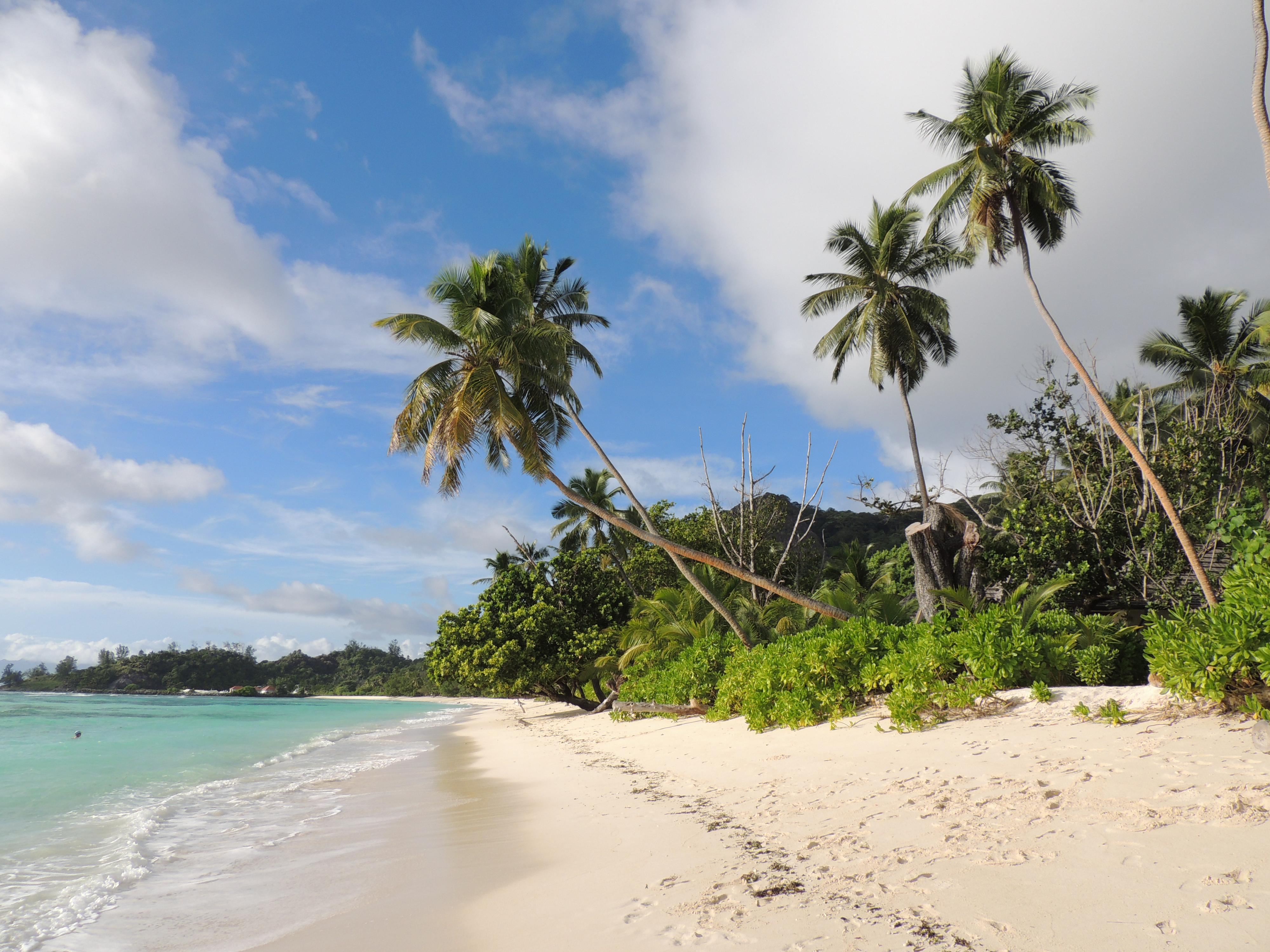 Alena Francová - Cestovní agentura Palma foto 6