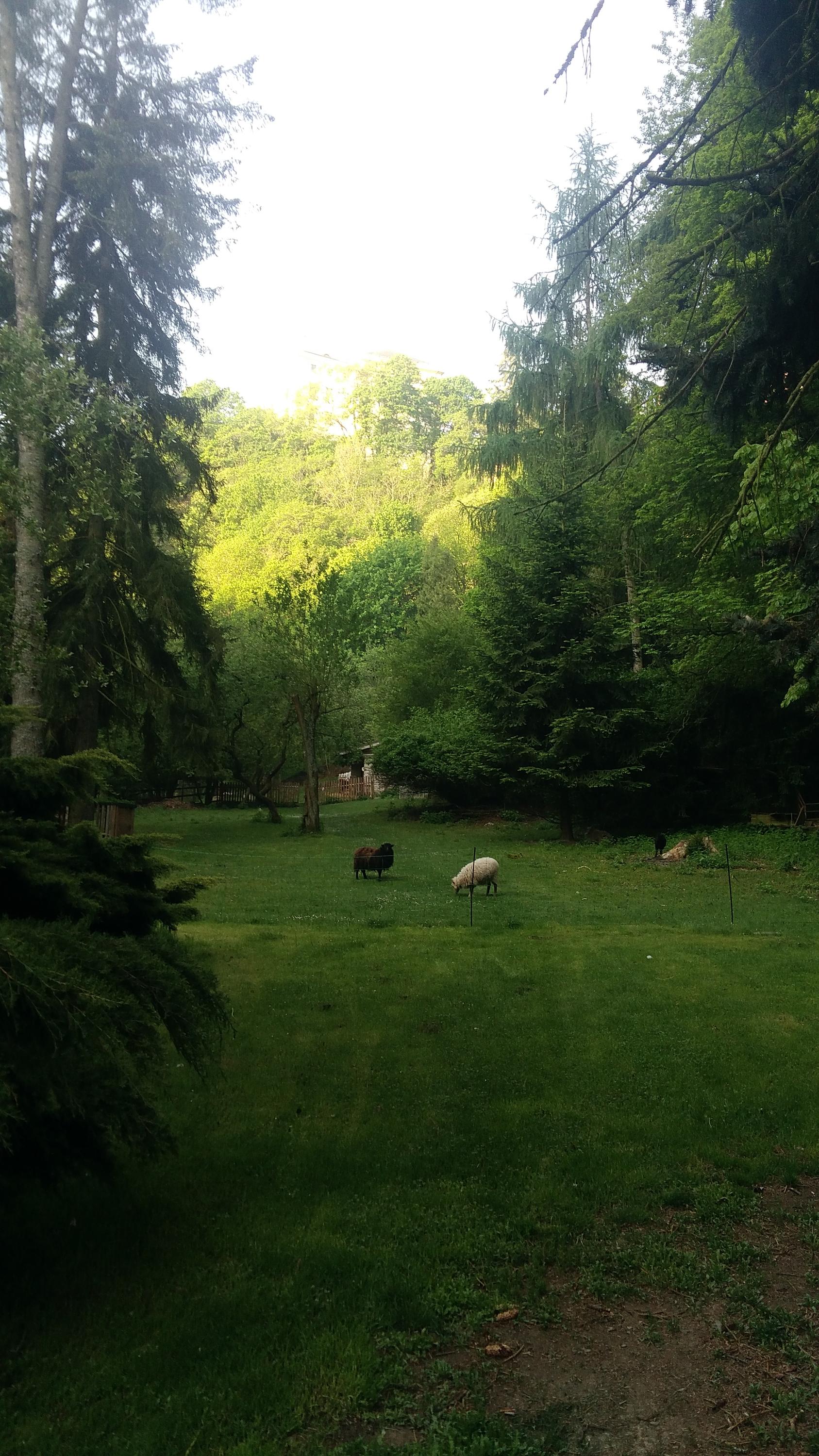 Ubytování Pod Rabštejnským zámkem foto 4