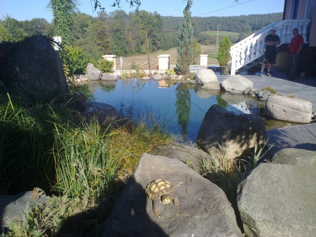 Ovocné a okrasné školky – Blanka Kosařová foto 3