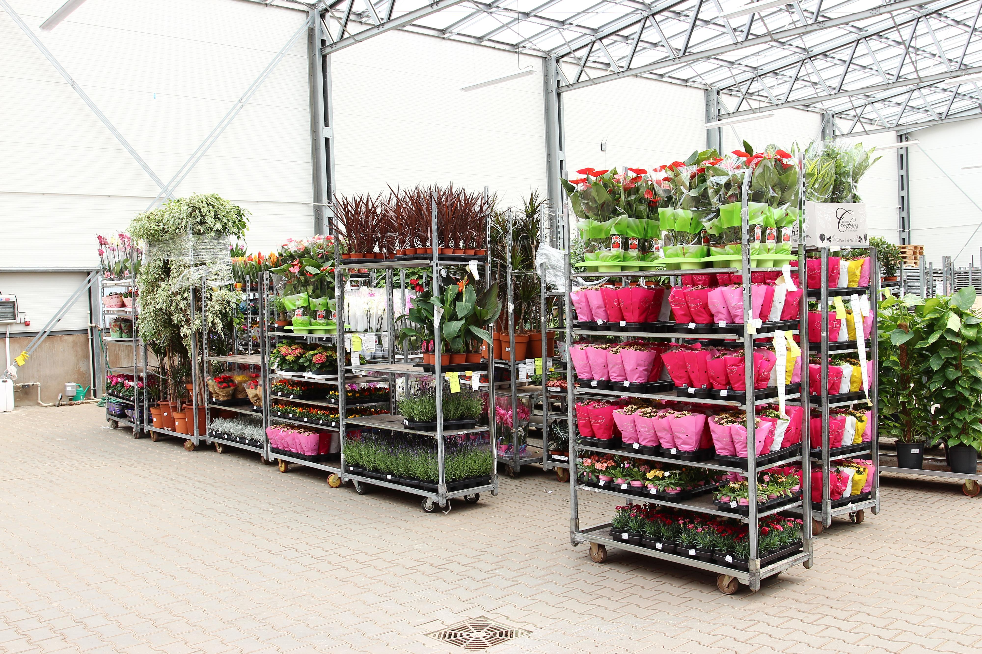 FLORPLANT, s.r.o. foto 3