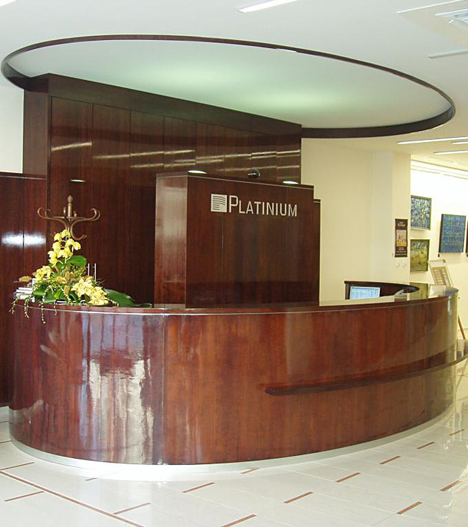PLATINIUM foto 4