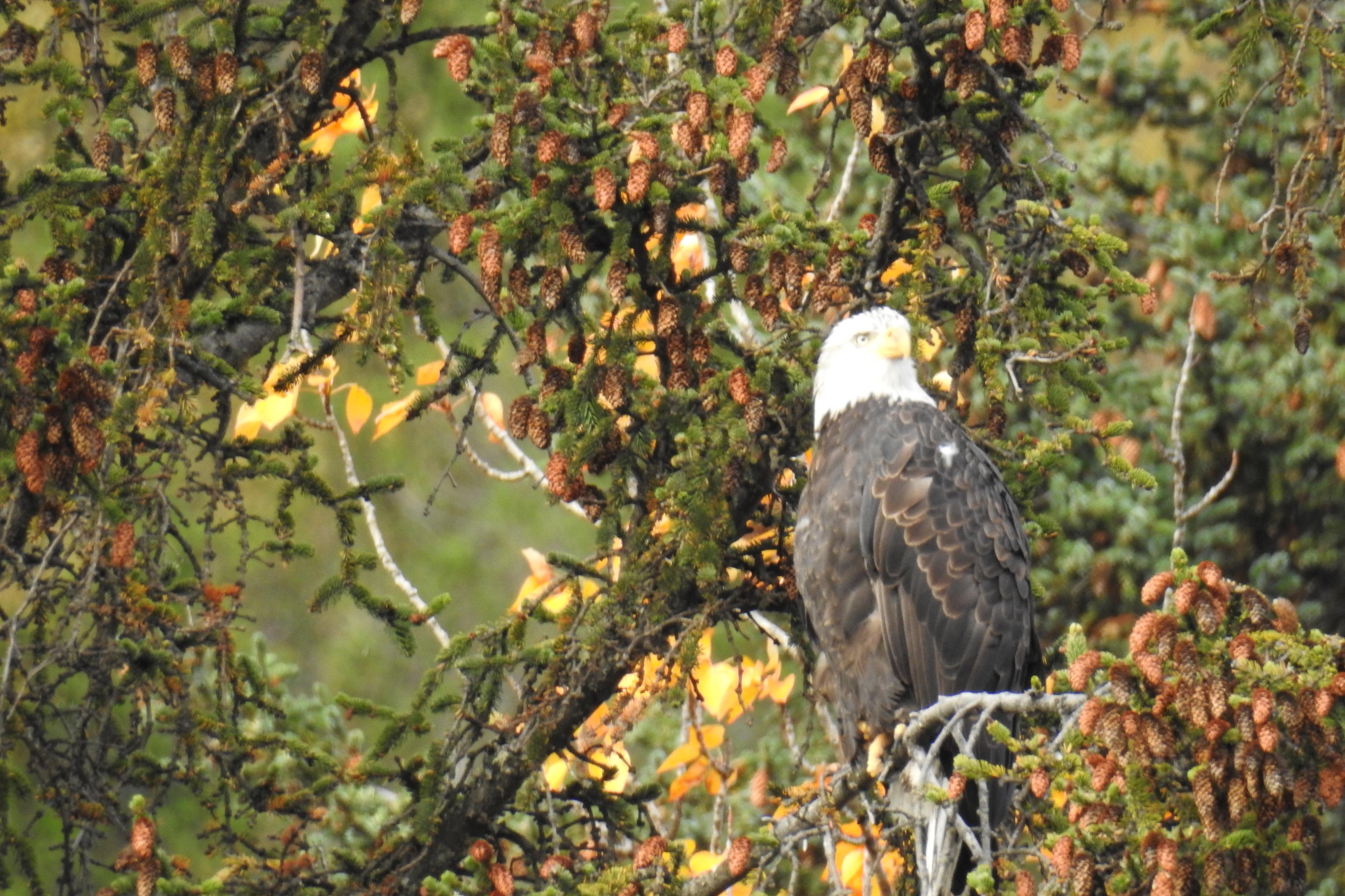 Alena Francová - Cestovní agentura Palma foto 4
