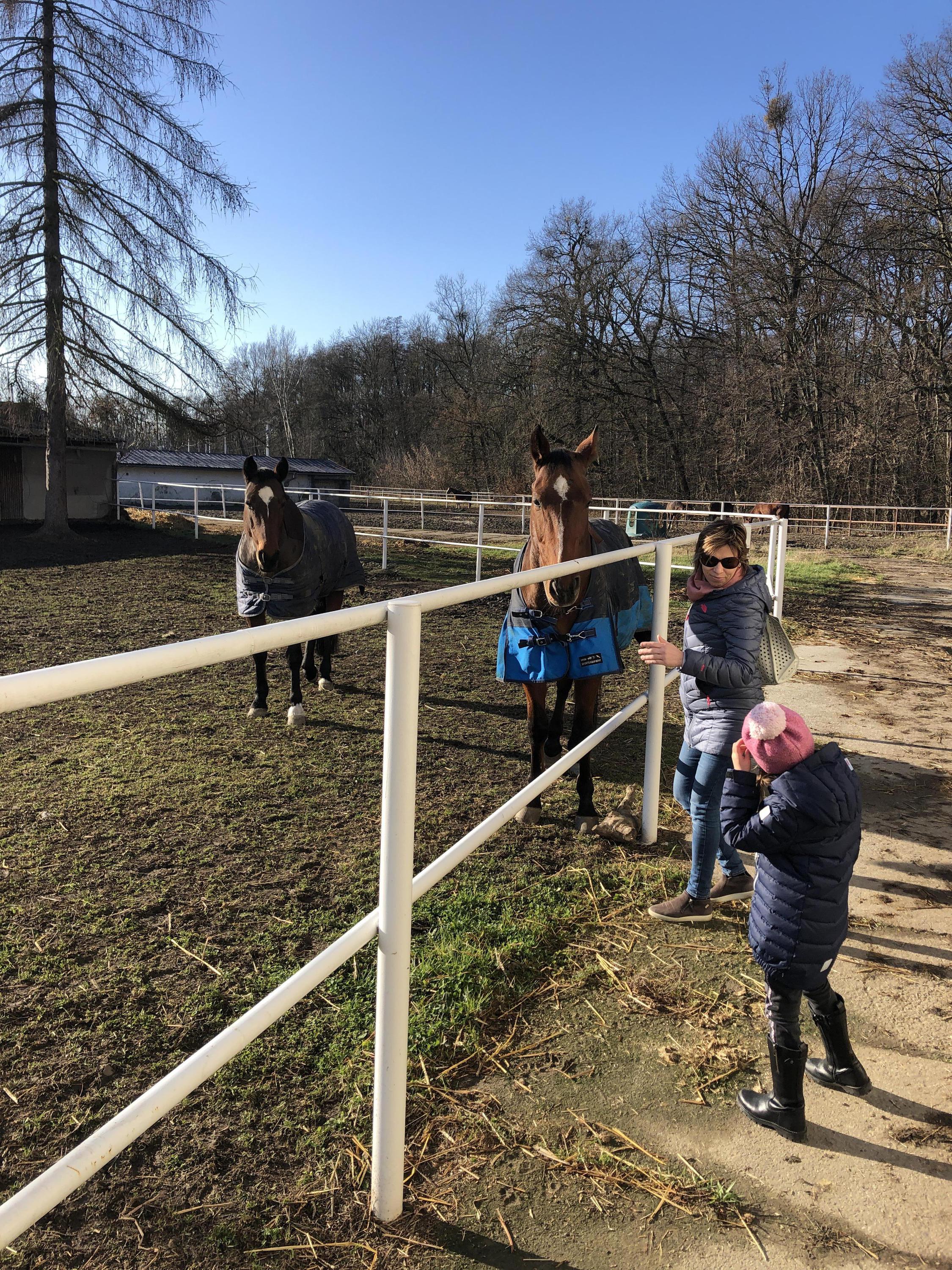 Zemědělská škola Přerov foto 3