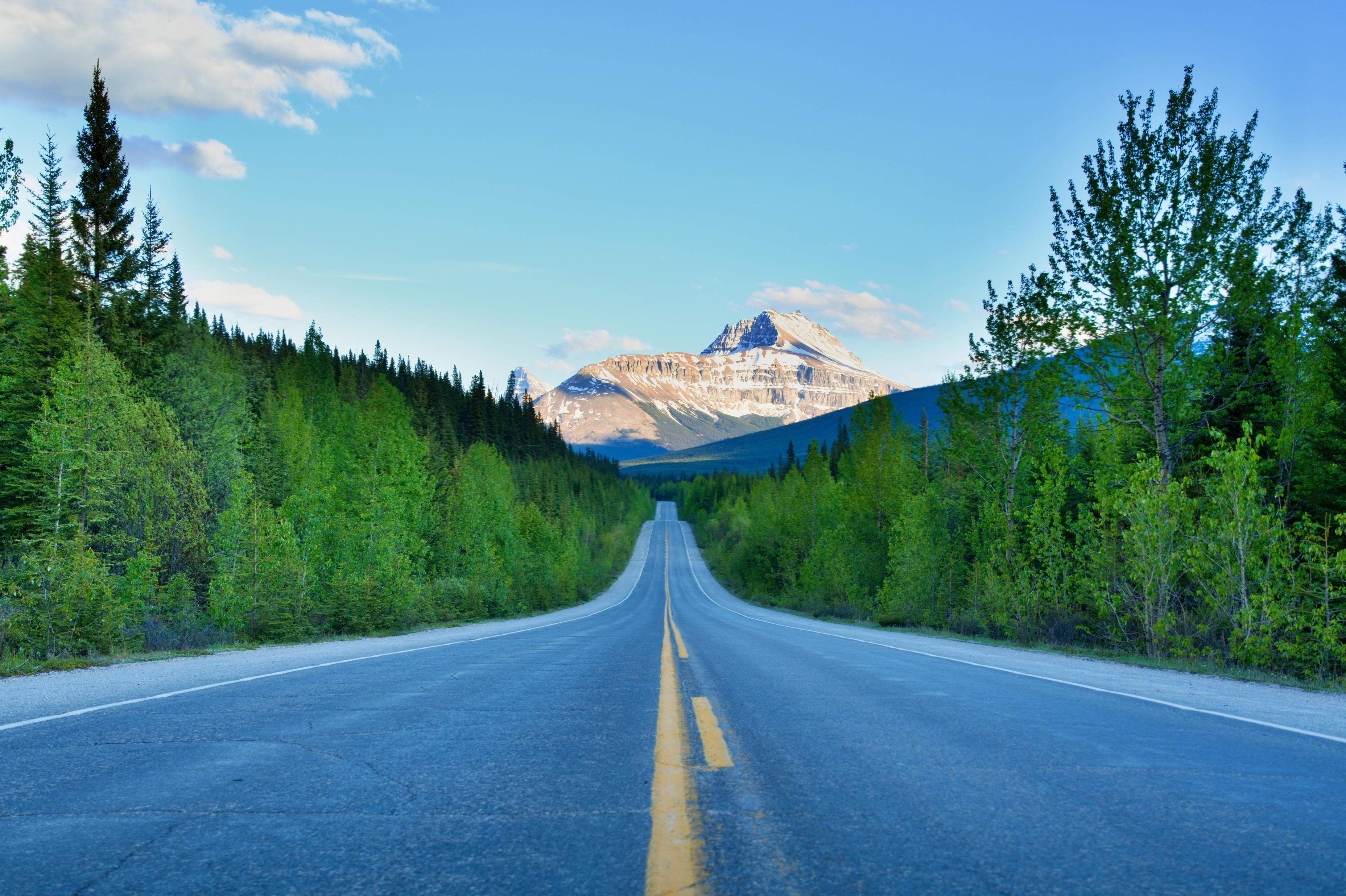 Agentura Pohodáři - Michal Poulíček