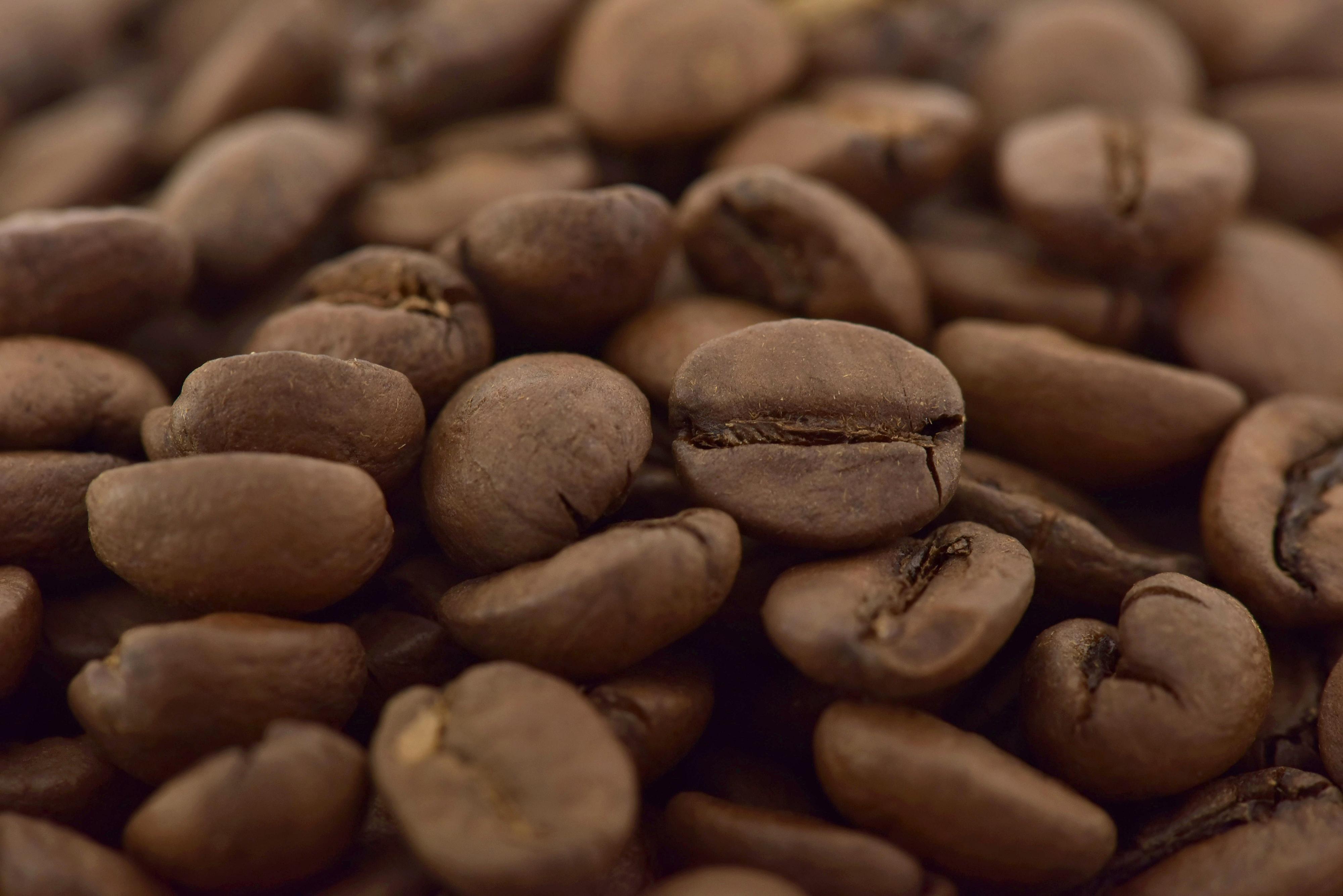 Coffeeholics - coho.cz foto 2