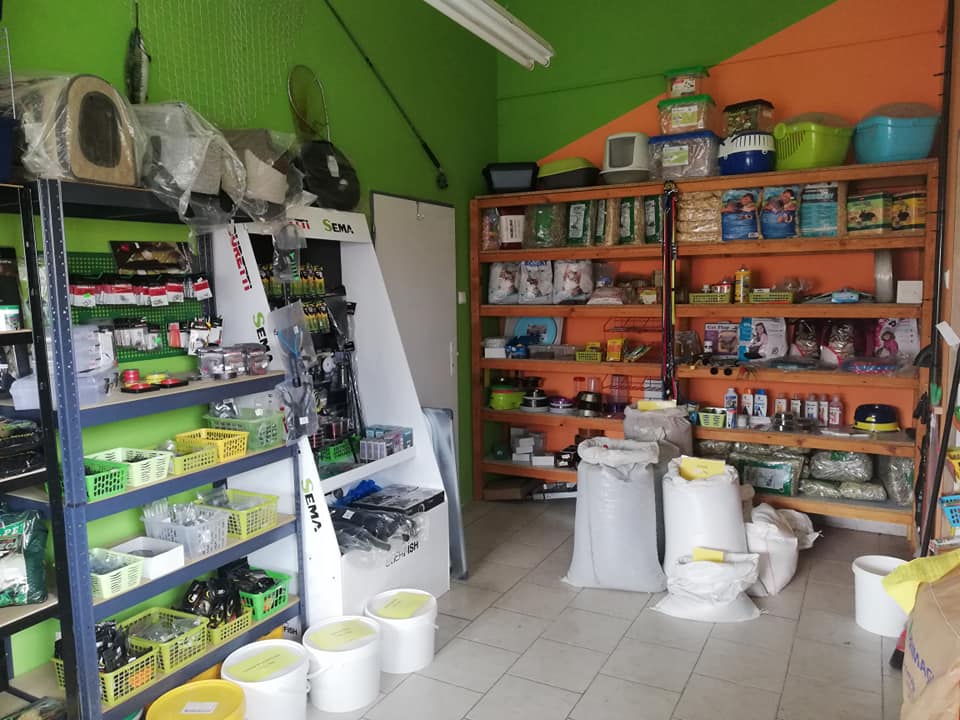 Zvířecí koloniál Zooagy foto 2