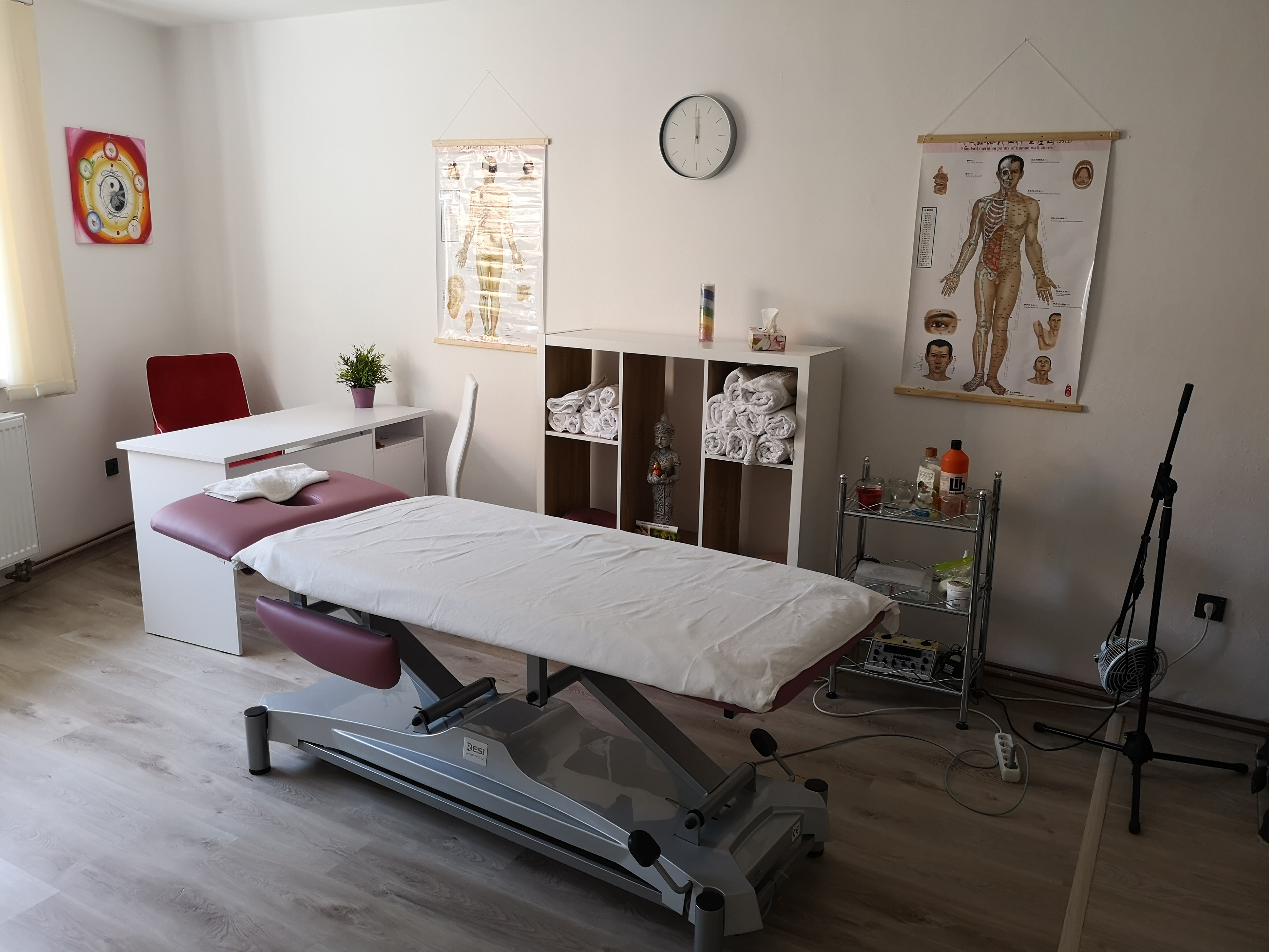 Čínské masáže Tuina - Eva Pípalová foto 2