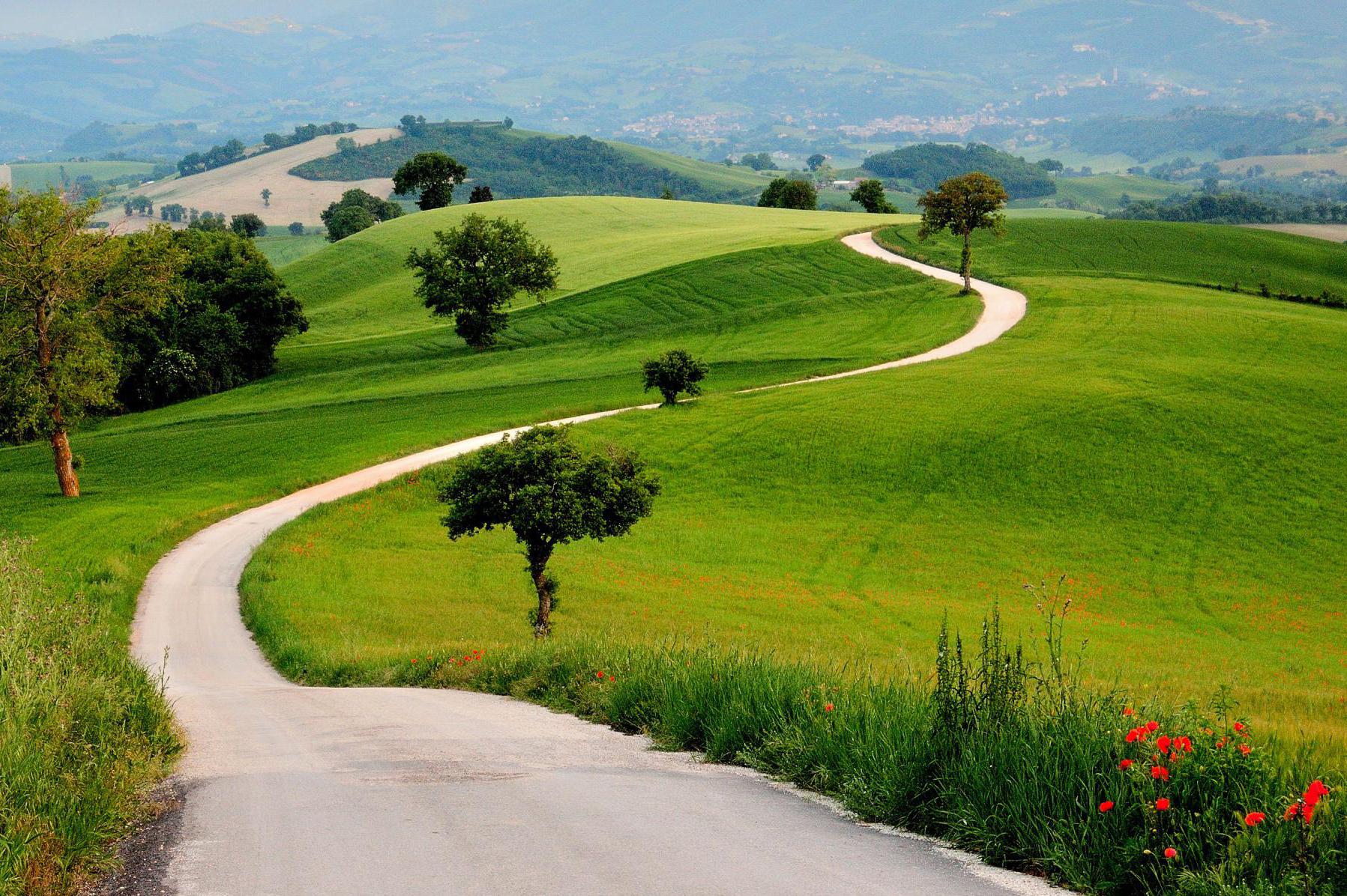 Kineziologická poradna Barbora Zítková