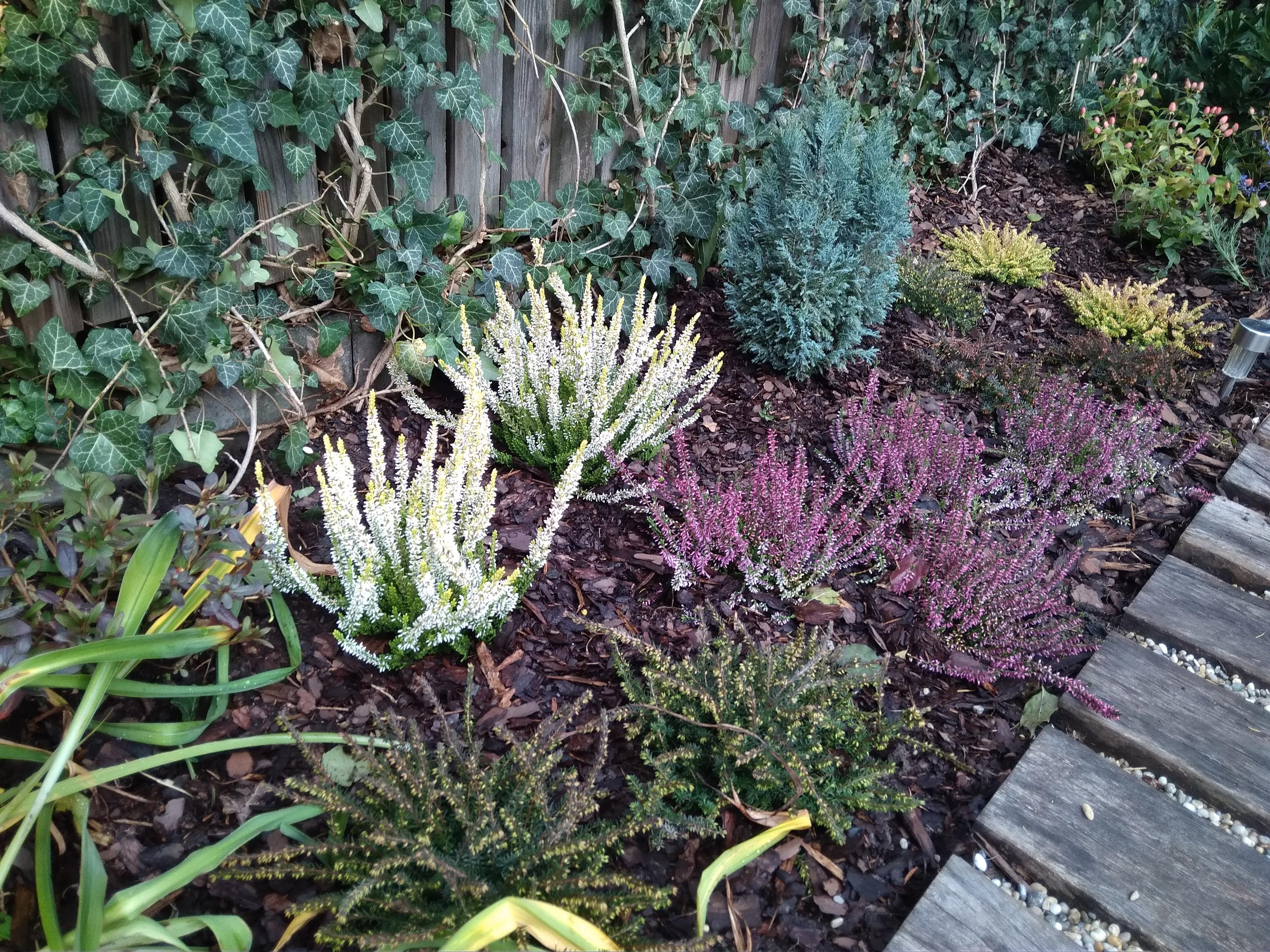 Roman Nakielný foto 3