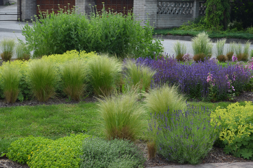 ZAHRADA ŽITÁ foto 2