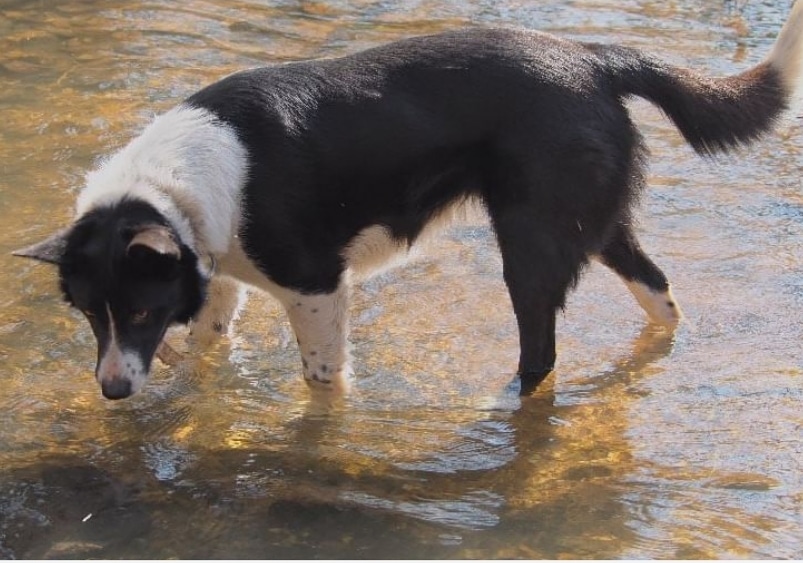 CHS BARHUTKA - Věra Hutníková foto 2
