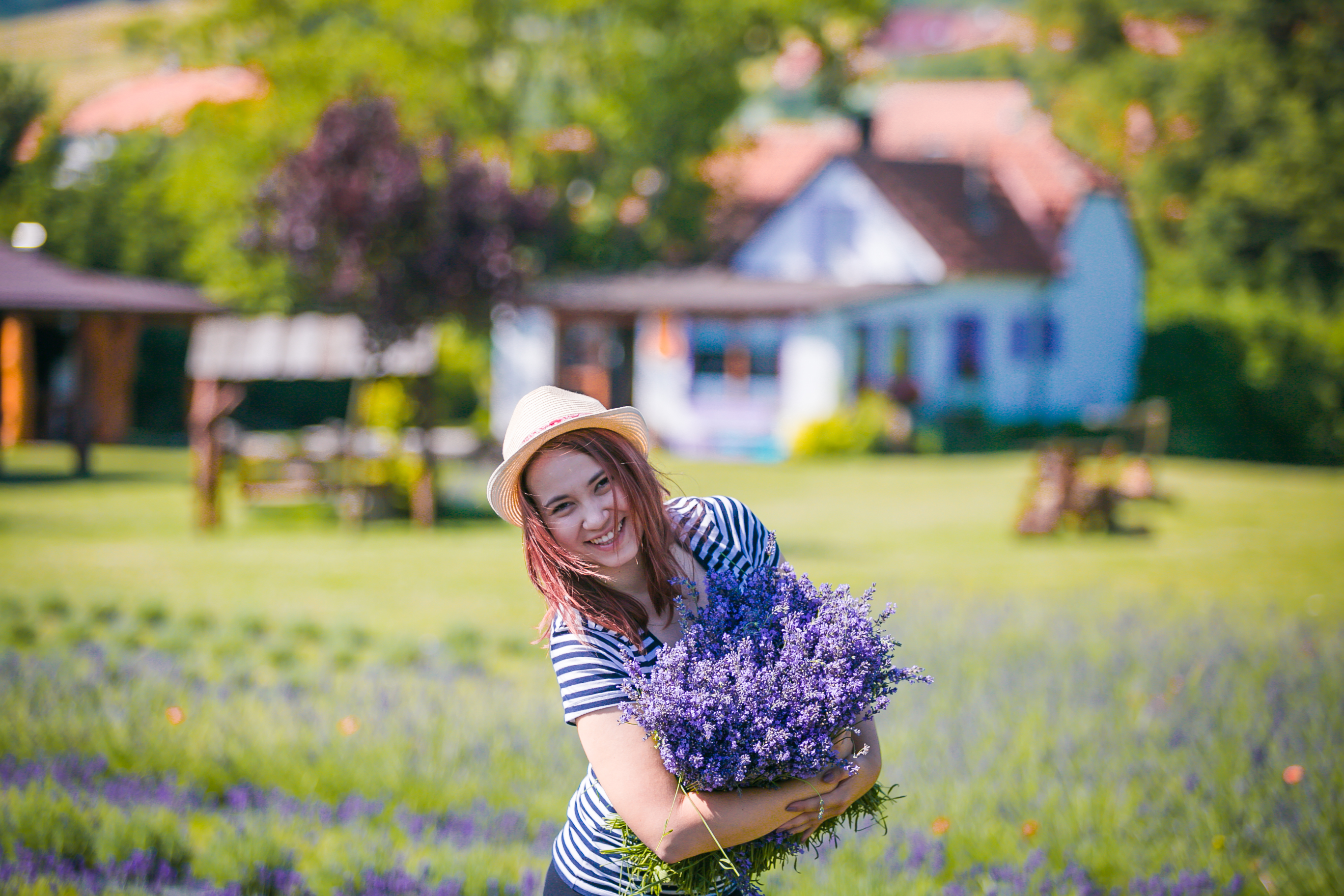 Levandulová farma foto 5