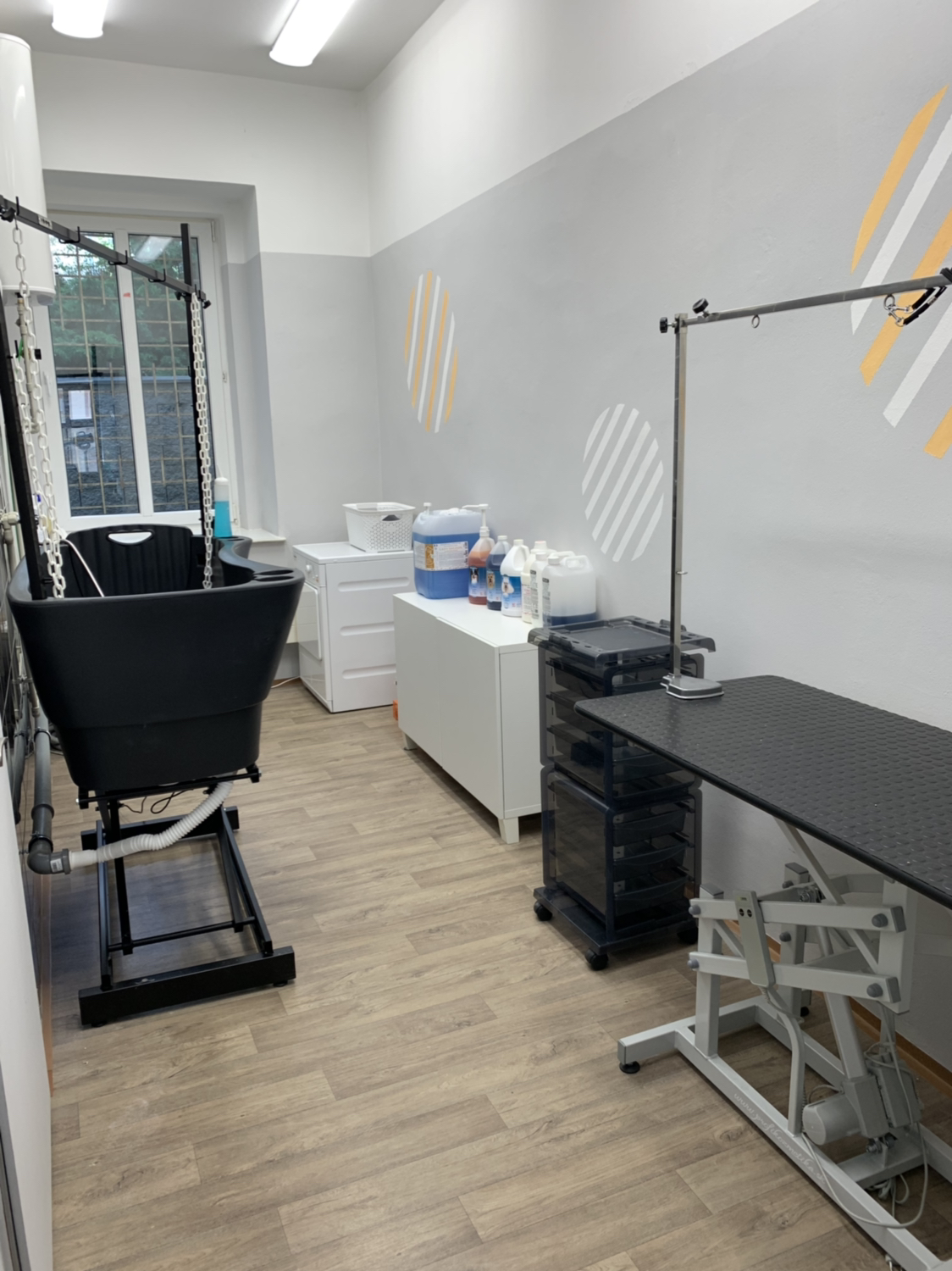 Módní Pes salon foto 3