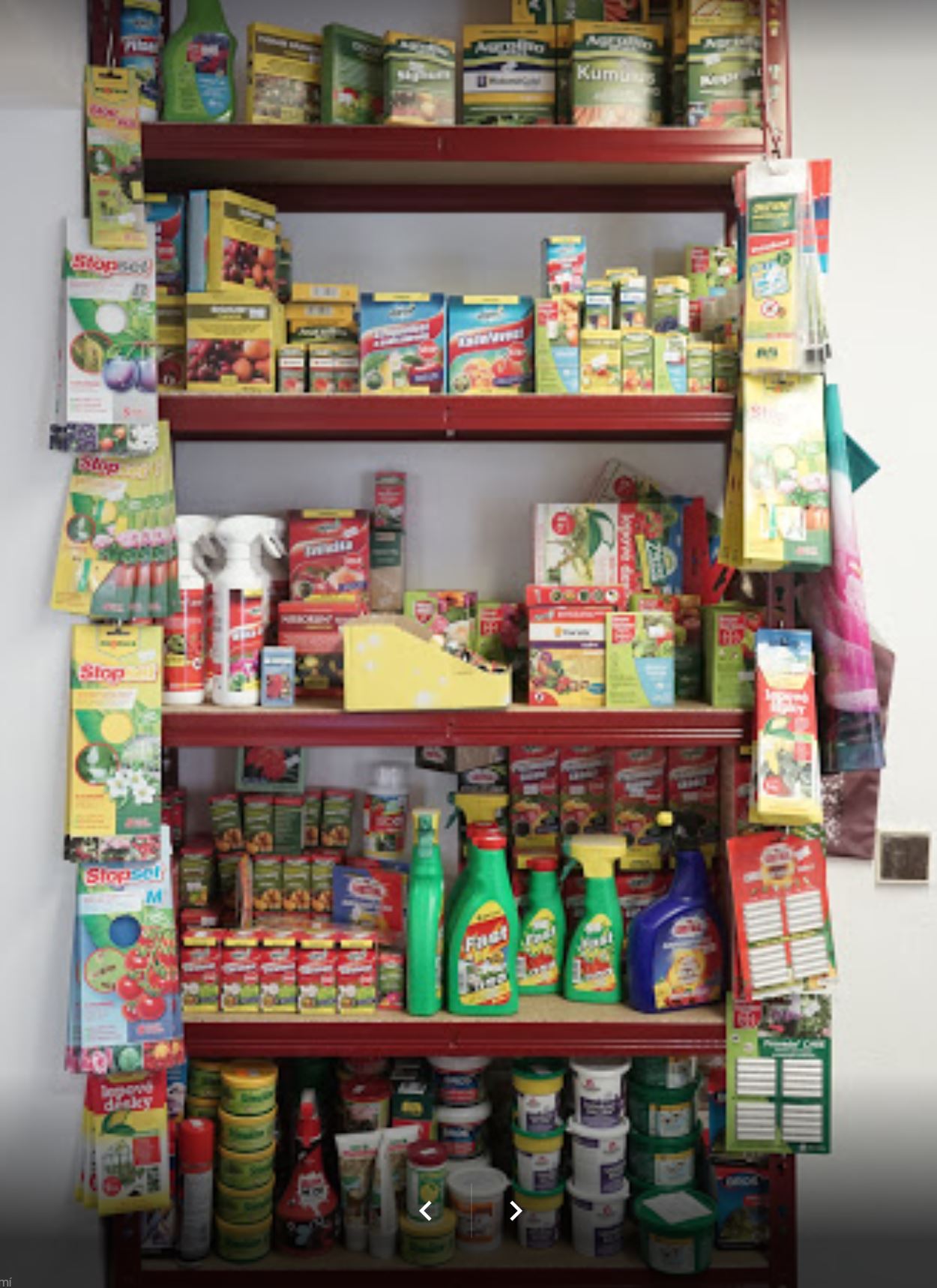 Lenka Bařinová foto 2