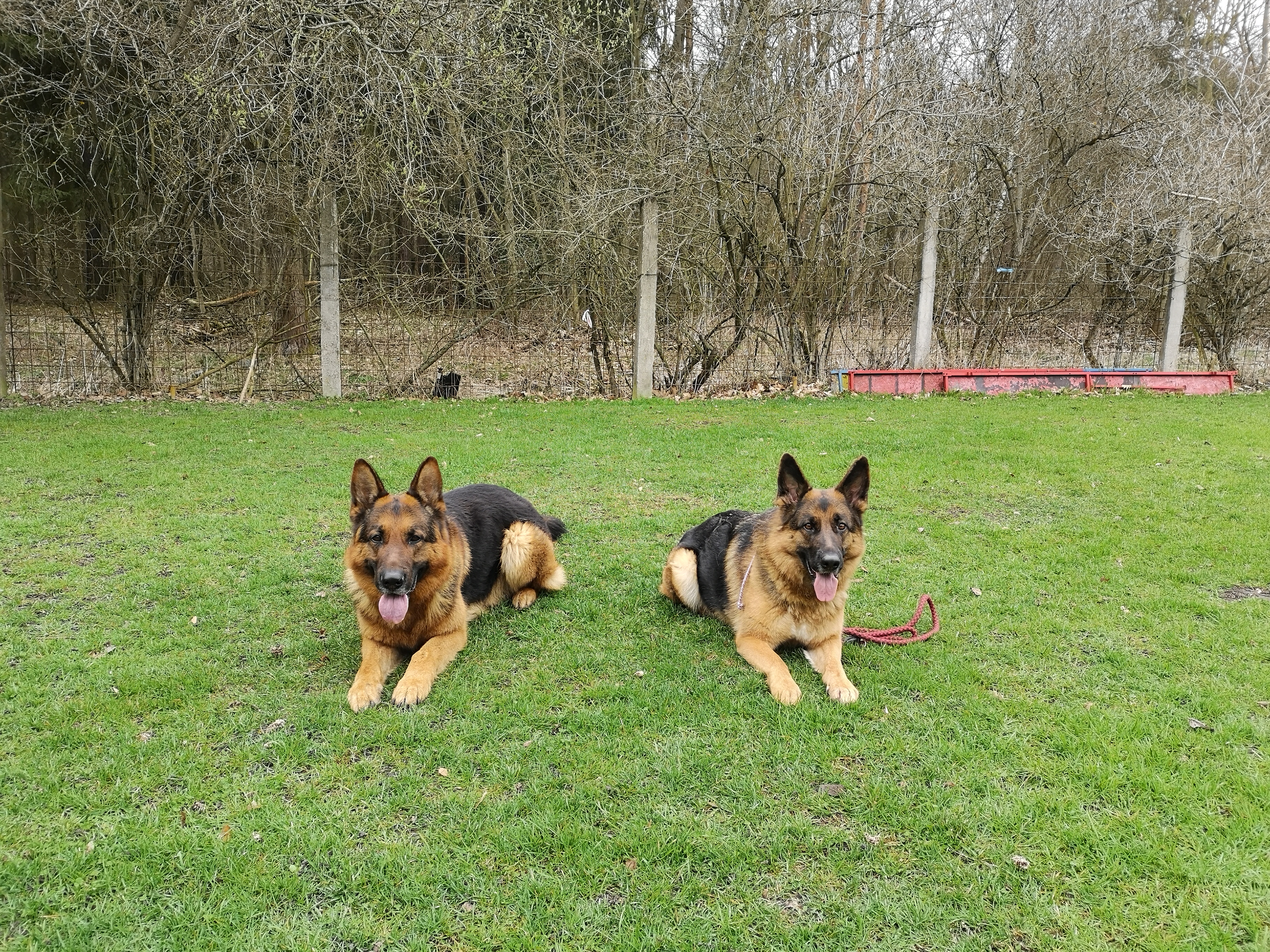 Chovatelská stanice od Boleveckých lesů a luk foto 5