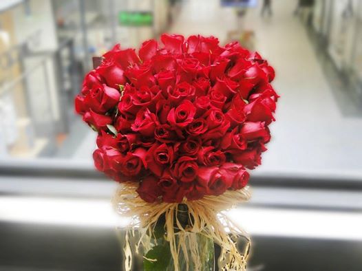 Prodej květin KAT Lamarche s.r.o. foto 2