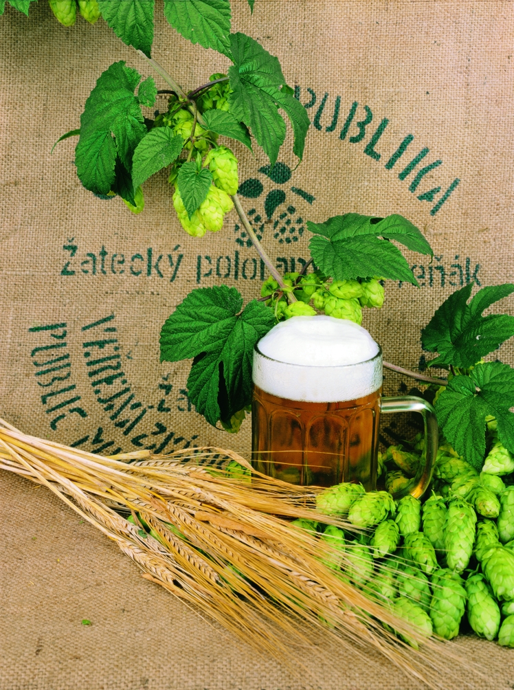 Chrám Chmele a Piva foto 2