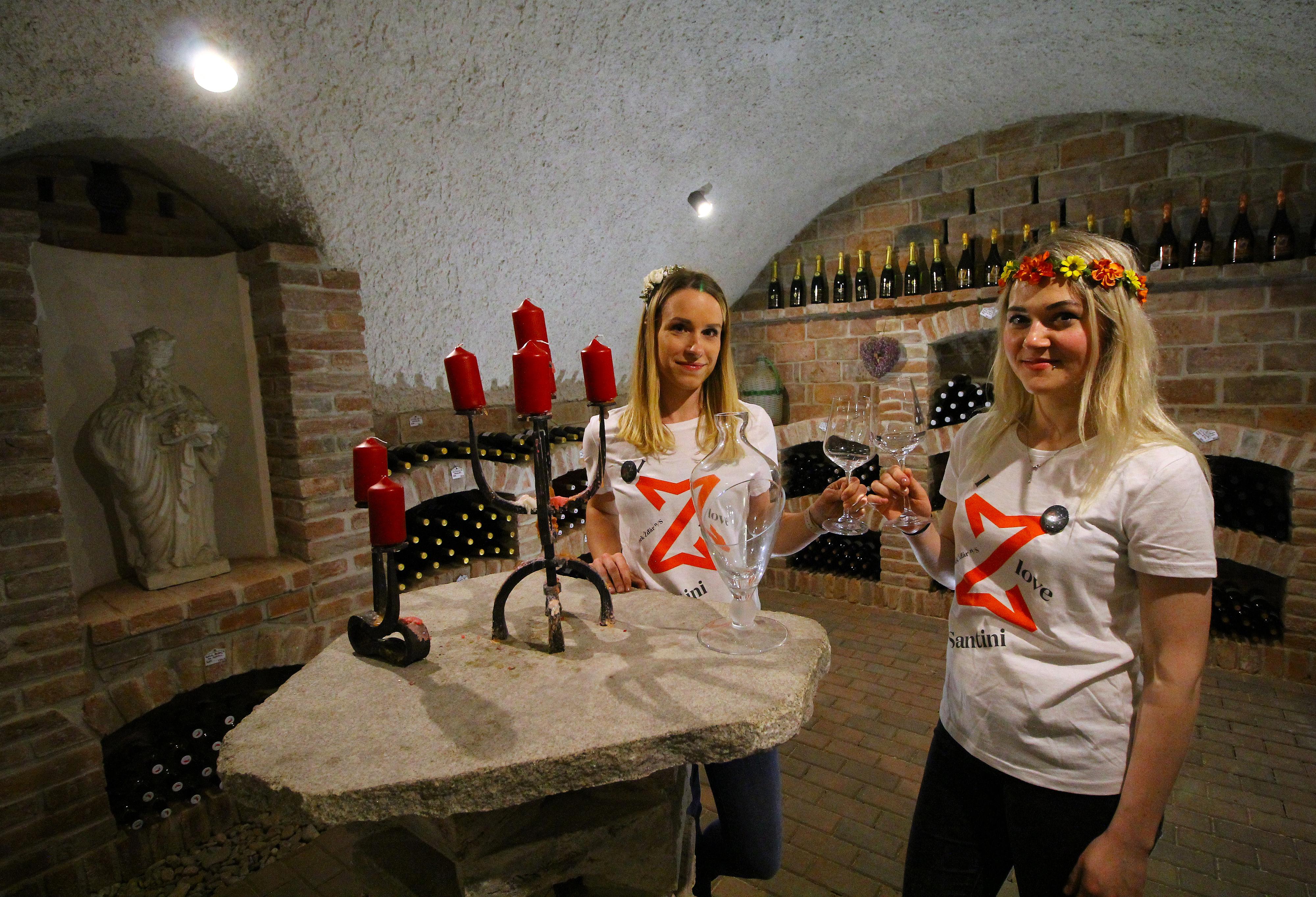 Zámecká vinárna foto 2